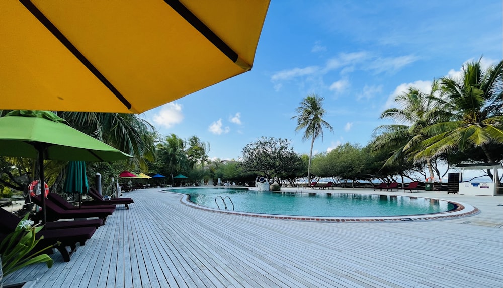 a large swimming pool surrounded by palm trees