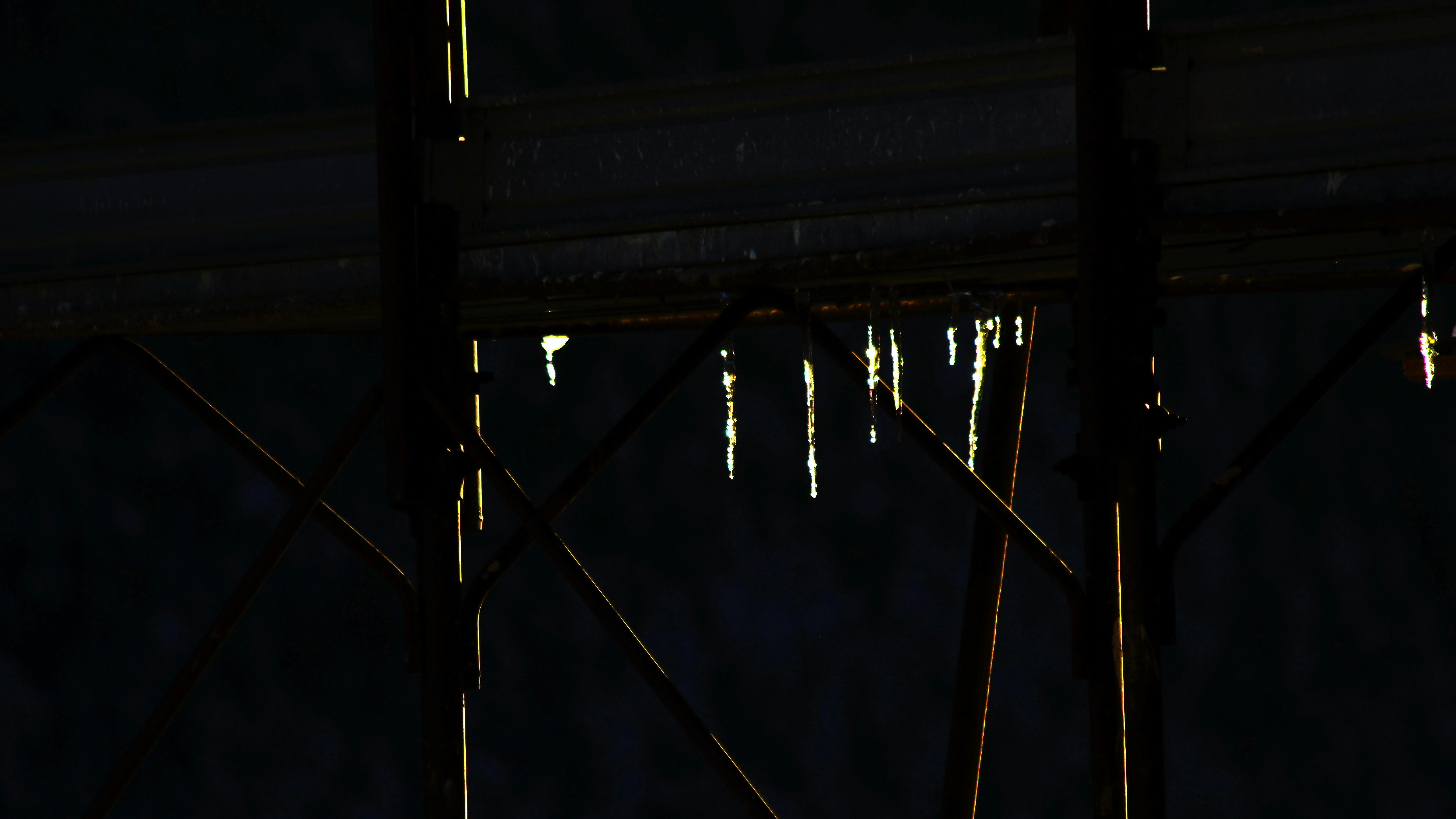 Close-up of adjustable hanging rod with potted hanging plants, metal construction, minimal background