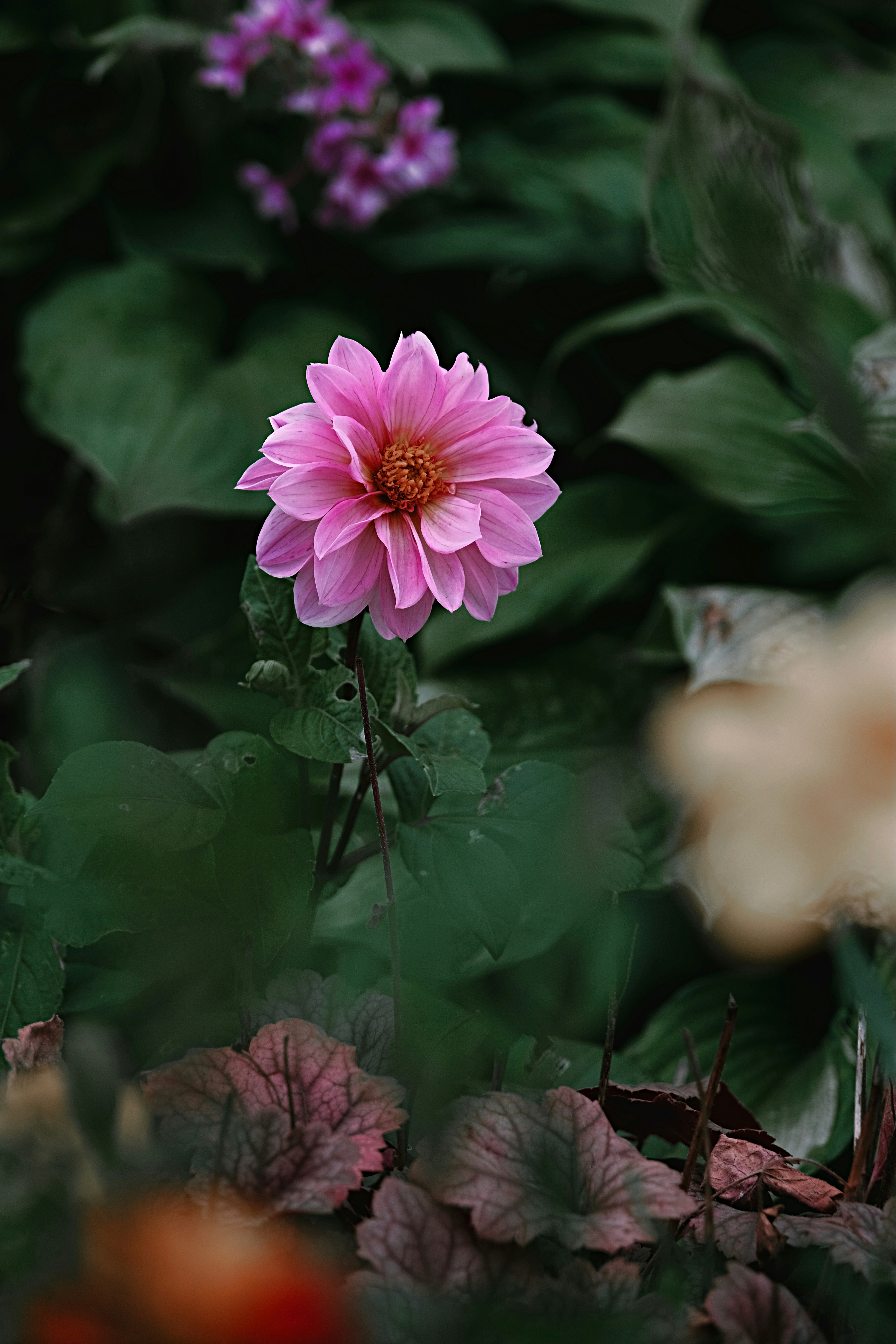 Photo by mrparalloid