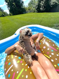 A person is relaxing in a small inflatable pool on a float resembling a donut with colorful sprinkles. They are accompanied by a small fluffy dog sitting on their lap. The setting is a sunny day with a grassy backyard and trees in the background.