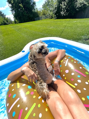 A person is relaxing in a small inflatable pool on a float resembling a donut with colorful sprinkles. They are accompanied by a small fluffy dog sitting on their lap. The setting is a sunny day with a grassy backyard and trees in the background.