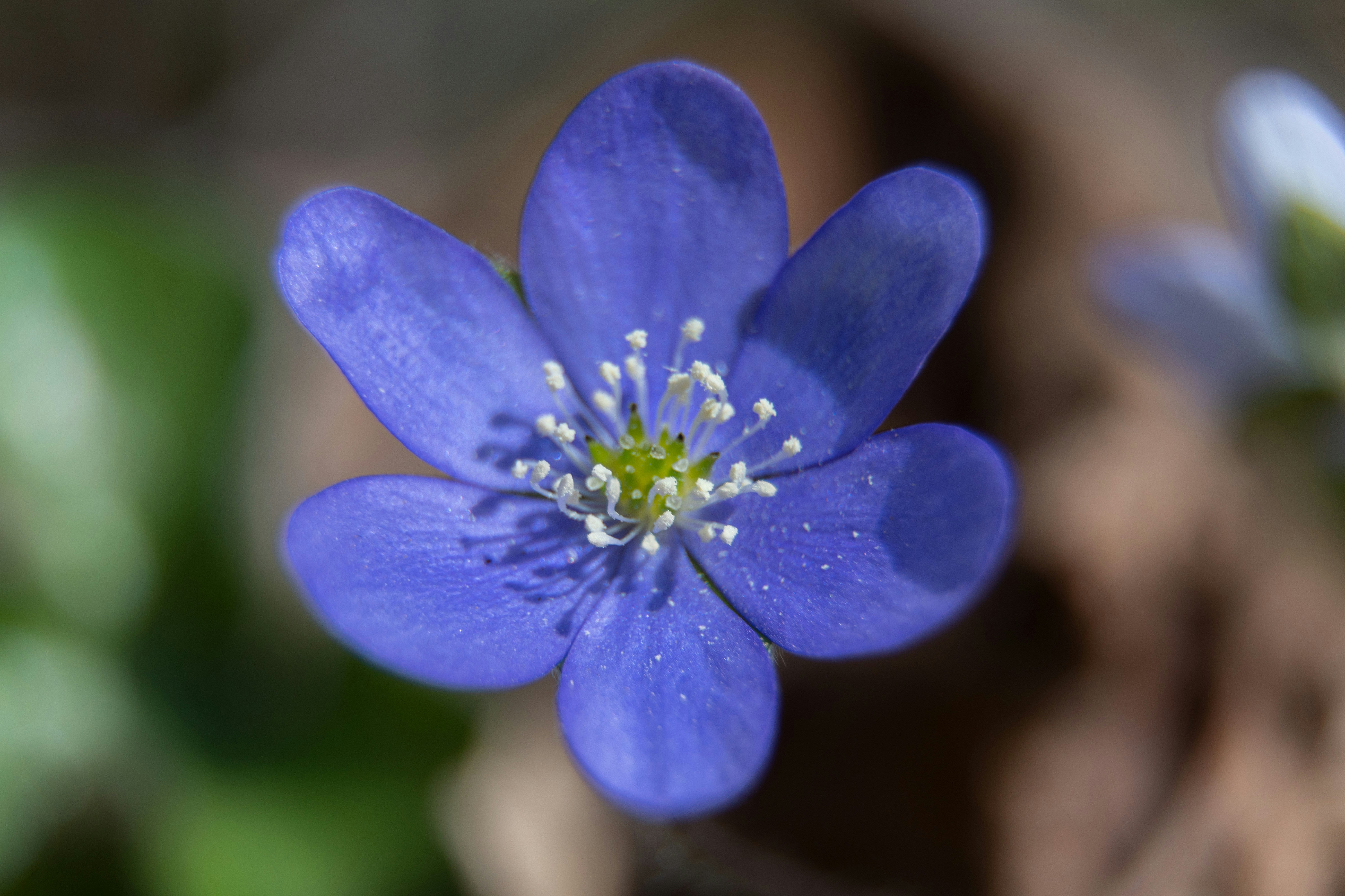 Photo by alejandroord