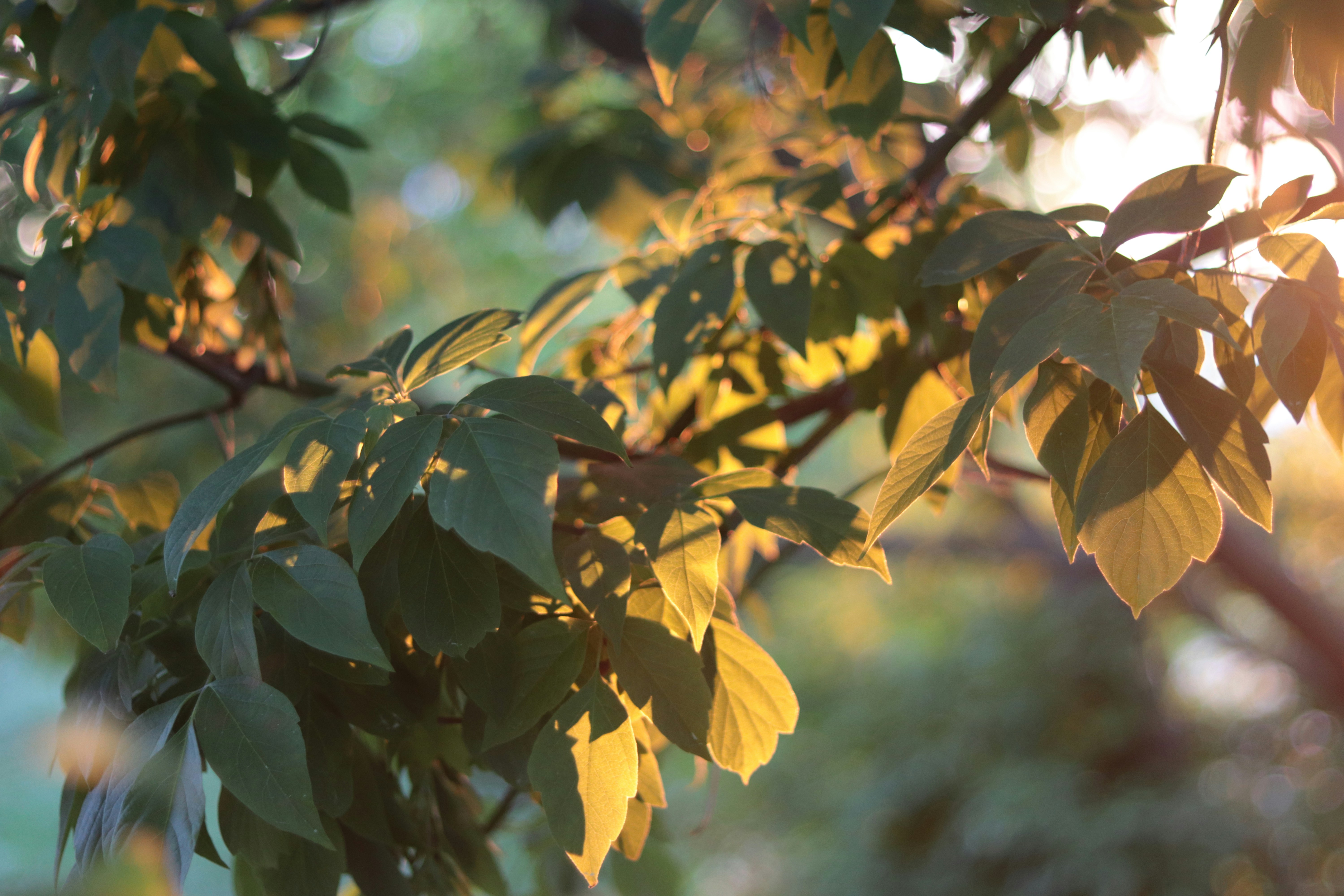 Photo by milagrosira999