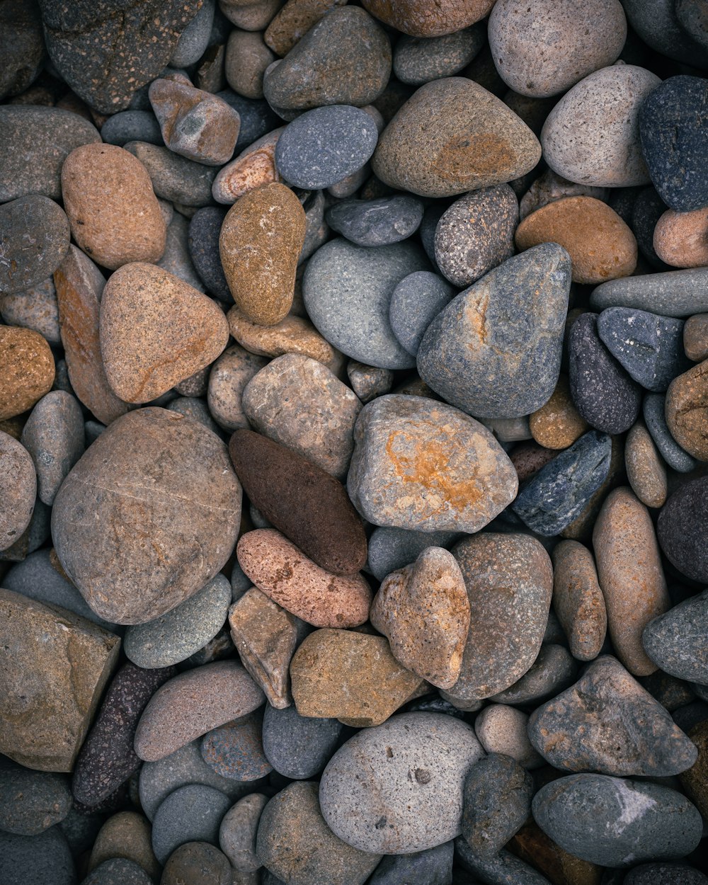 a bunch of rocks that are laying on the ground