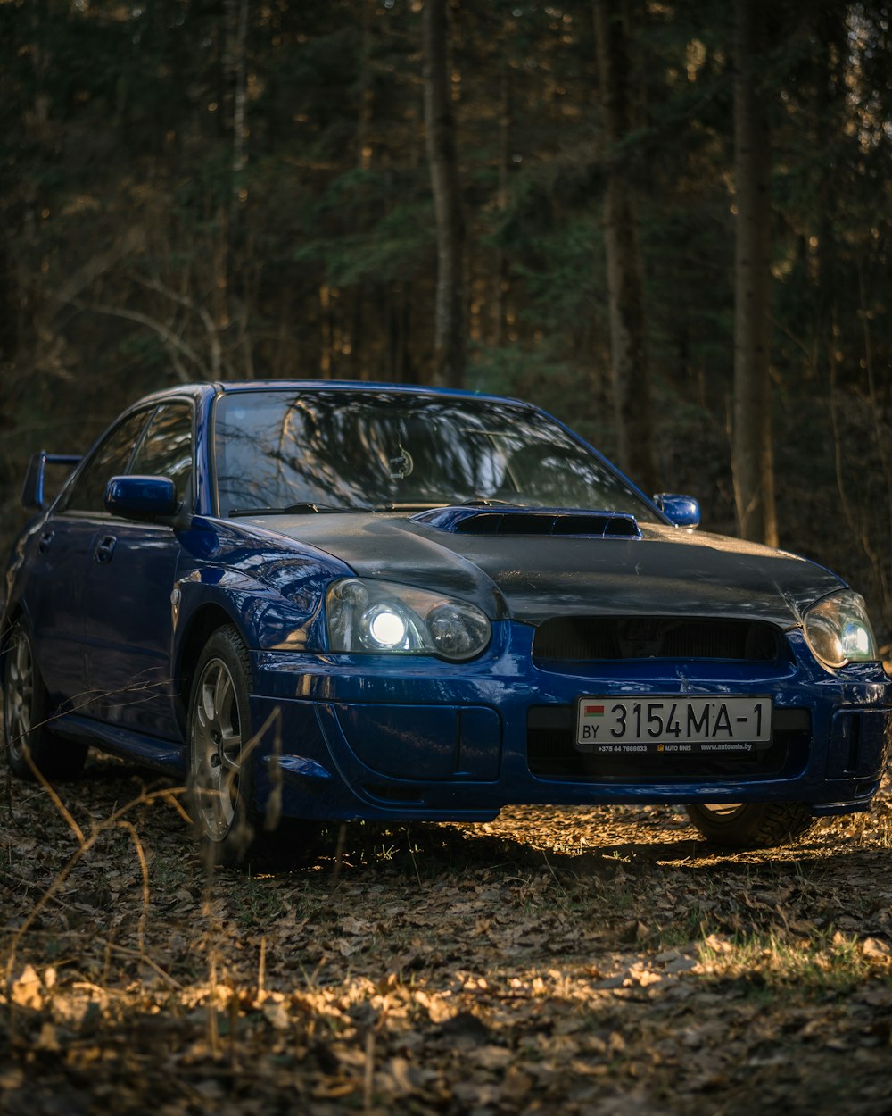 a blue car parked in a wooded area