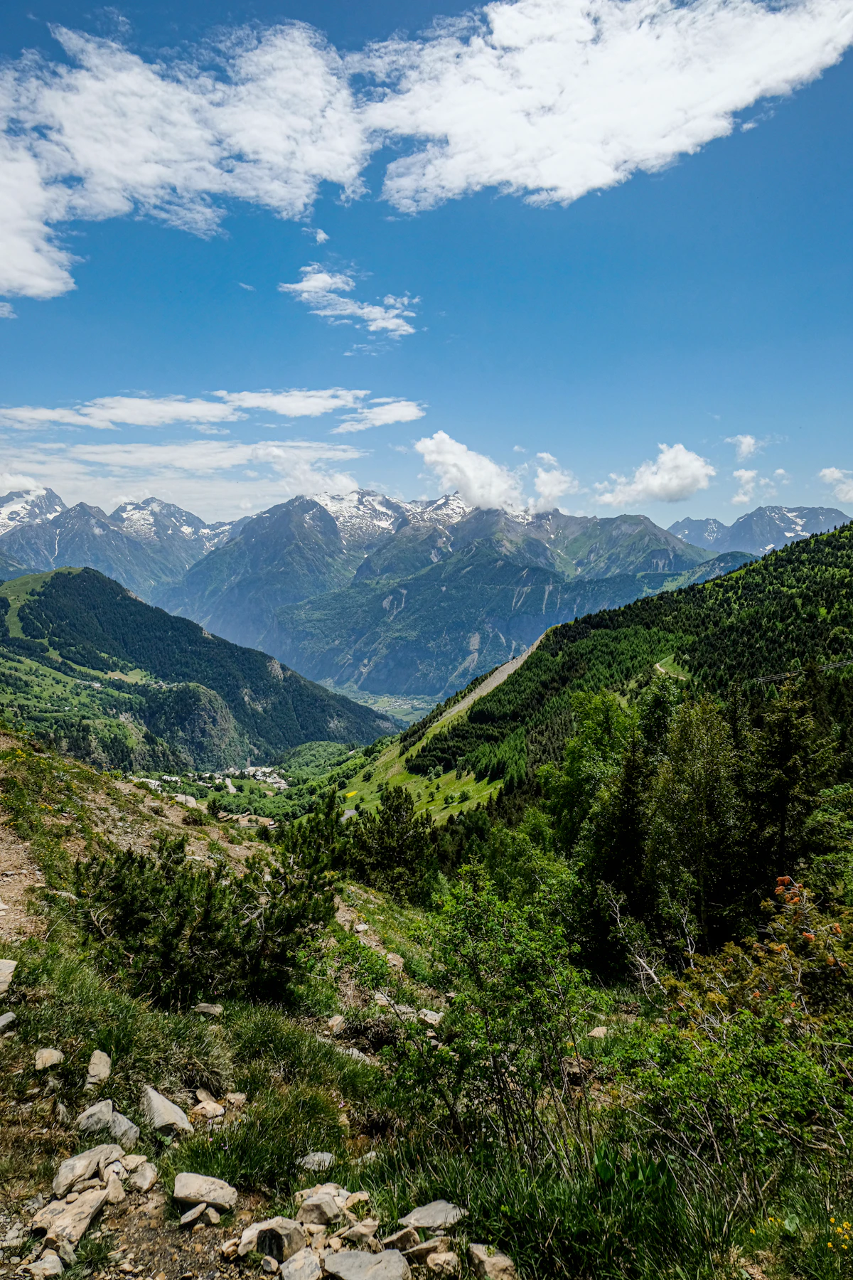 A rocky trail through summer grass and shrubs above a green valley, with snowy peaks beyond