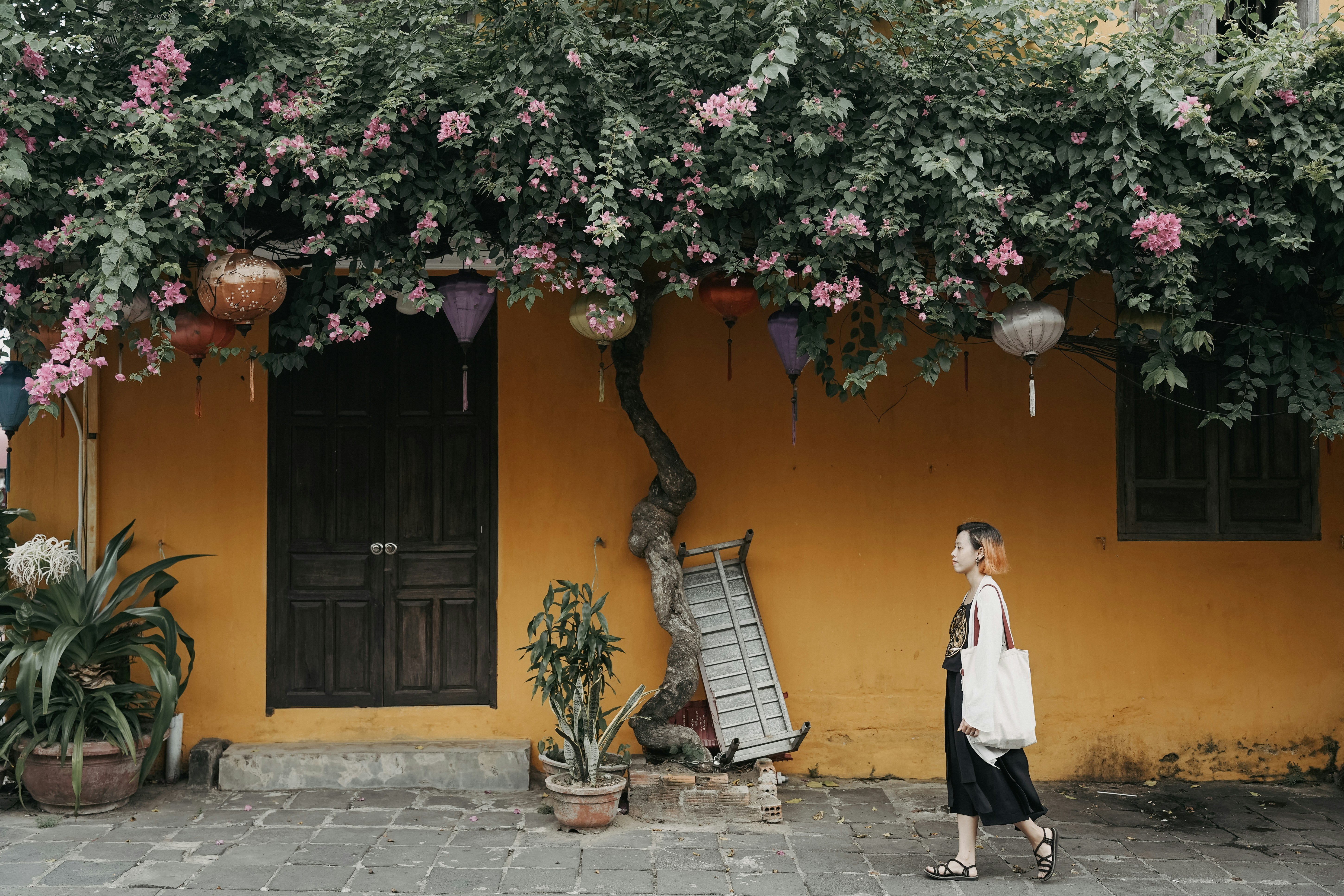 Photo by hoianphotographer