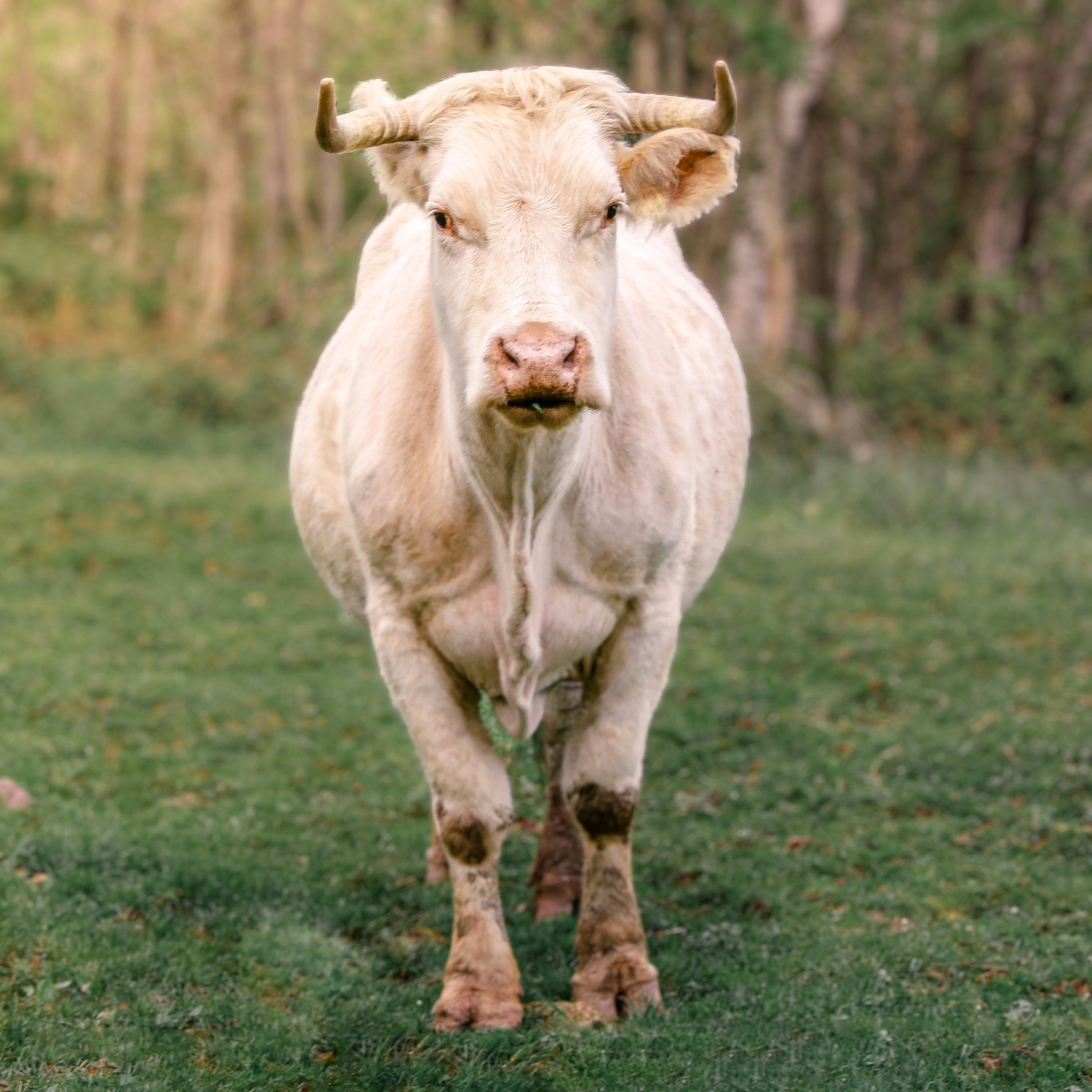 Photo by alejandroord