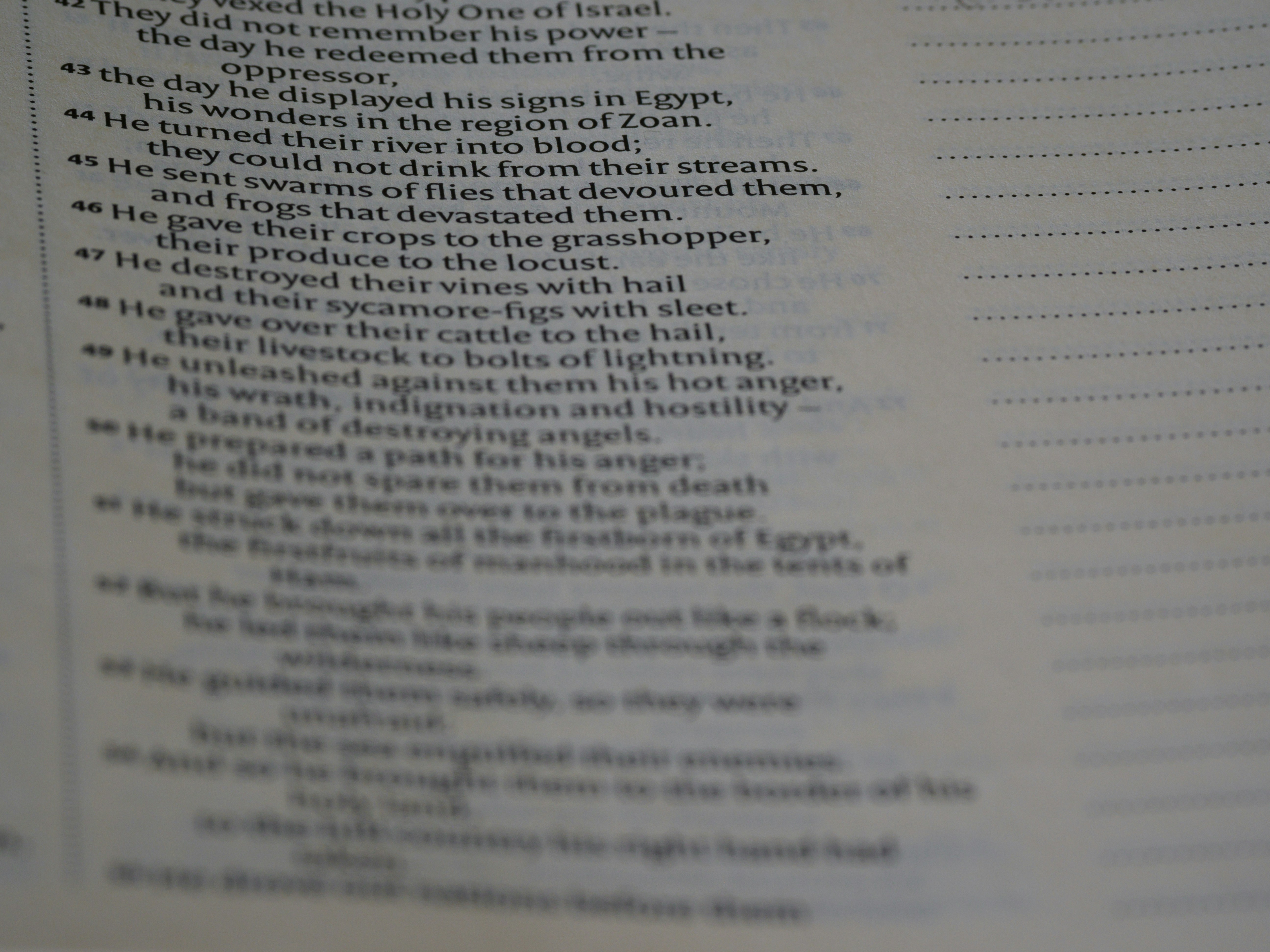 What Does the Bible Say About Belief?