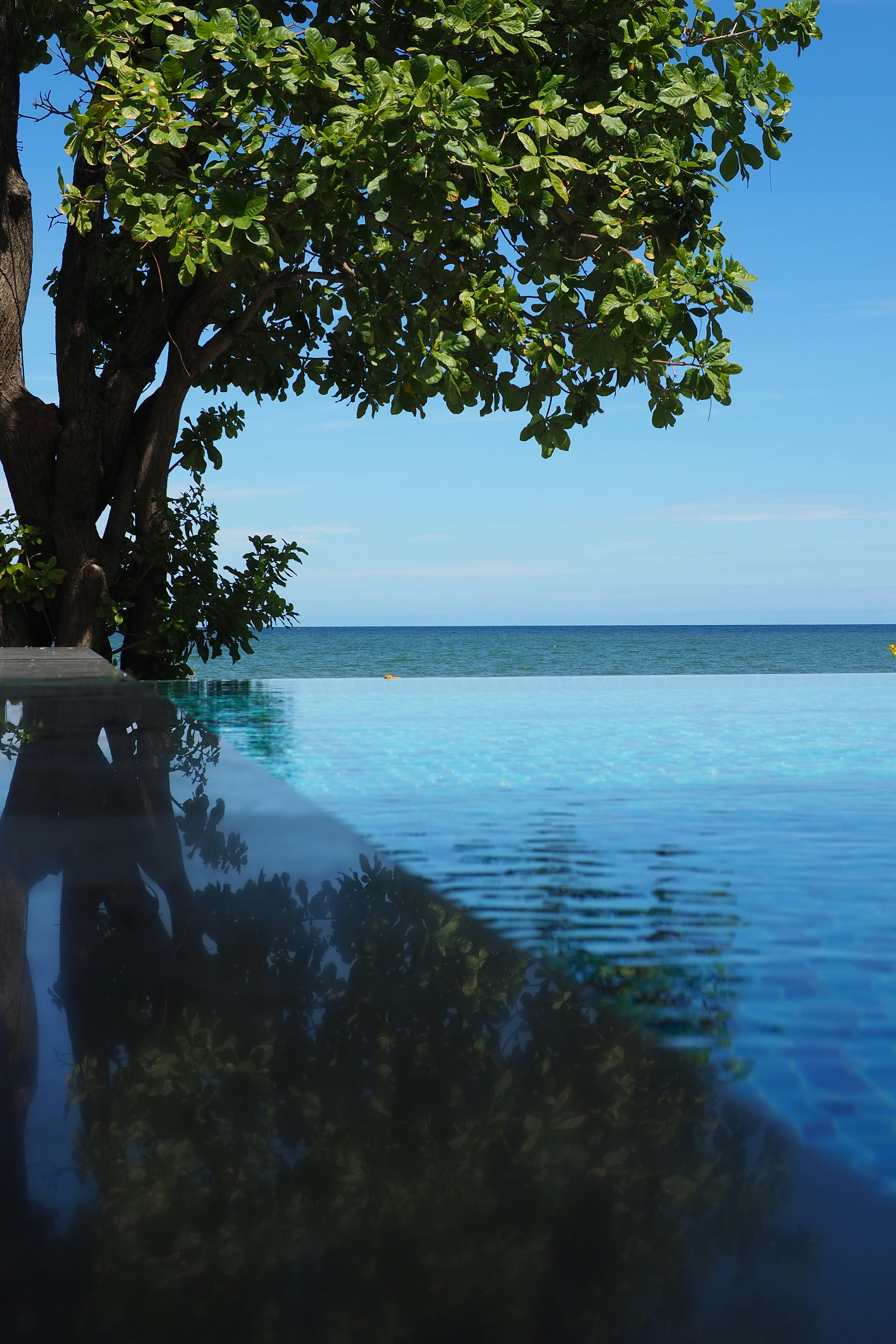 Photo by rutpratheep