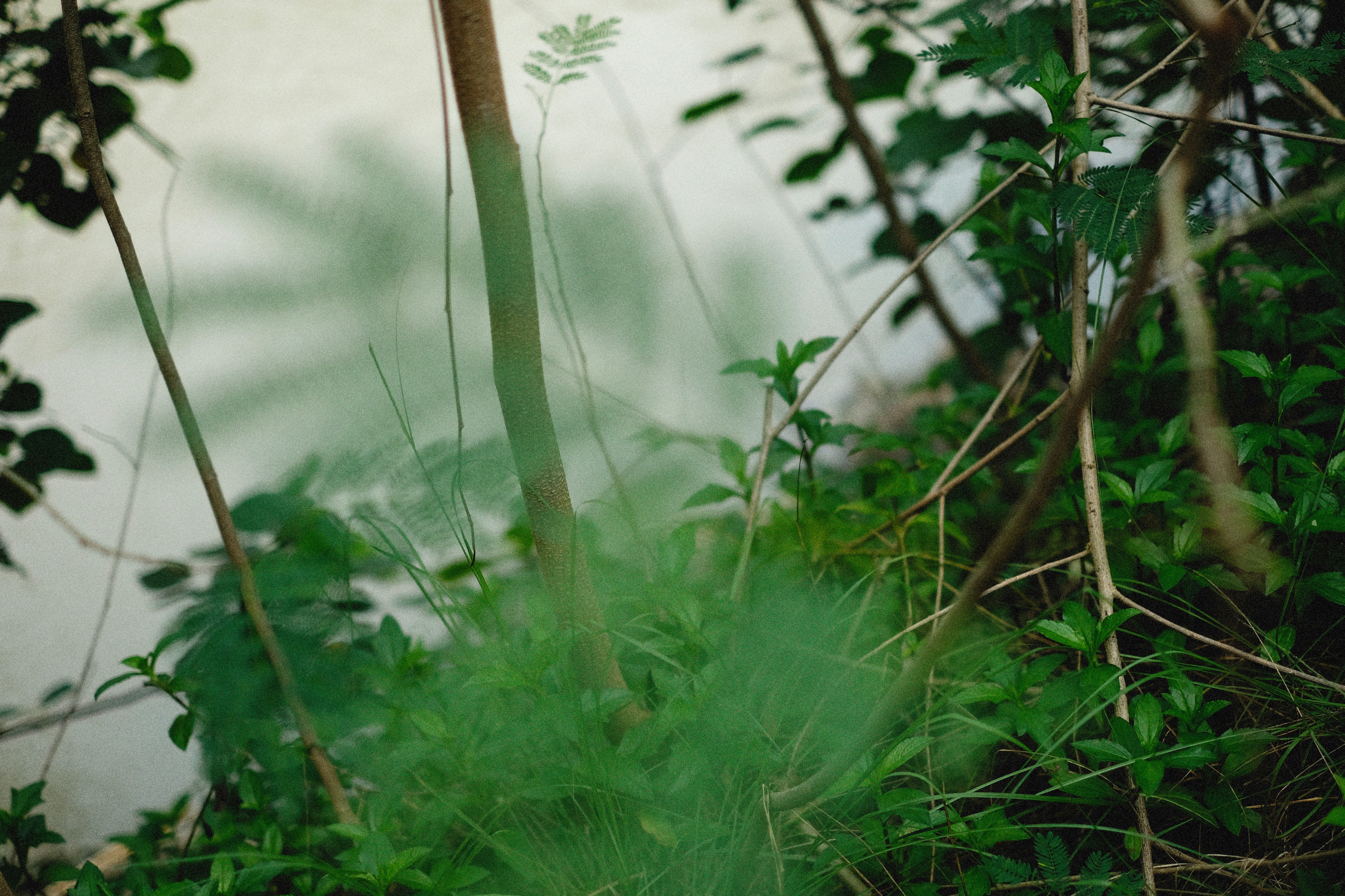 Photo by alexeydemidov