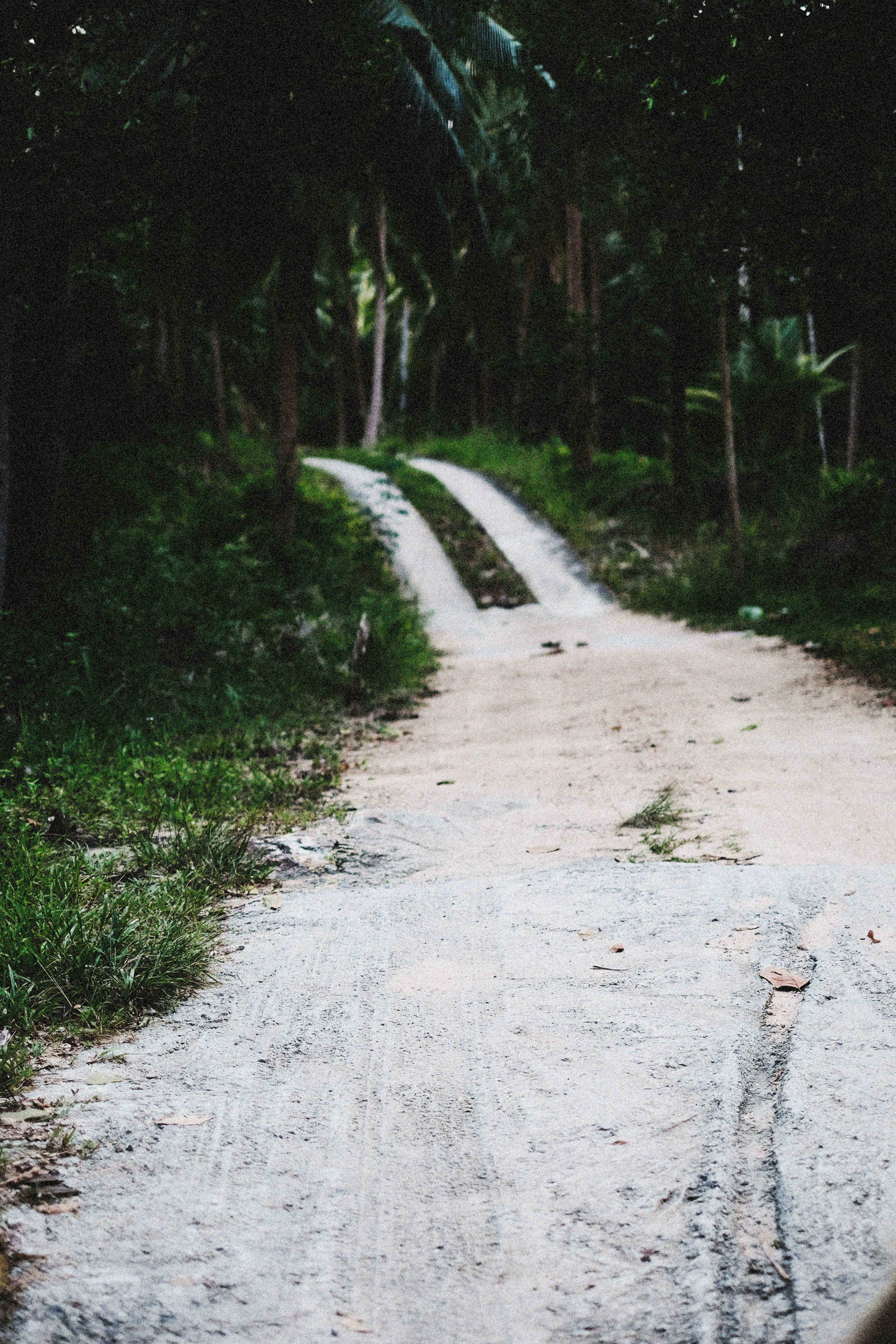 Photo by alexeydemidov