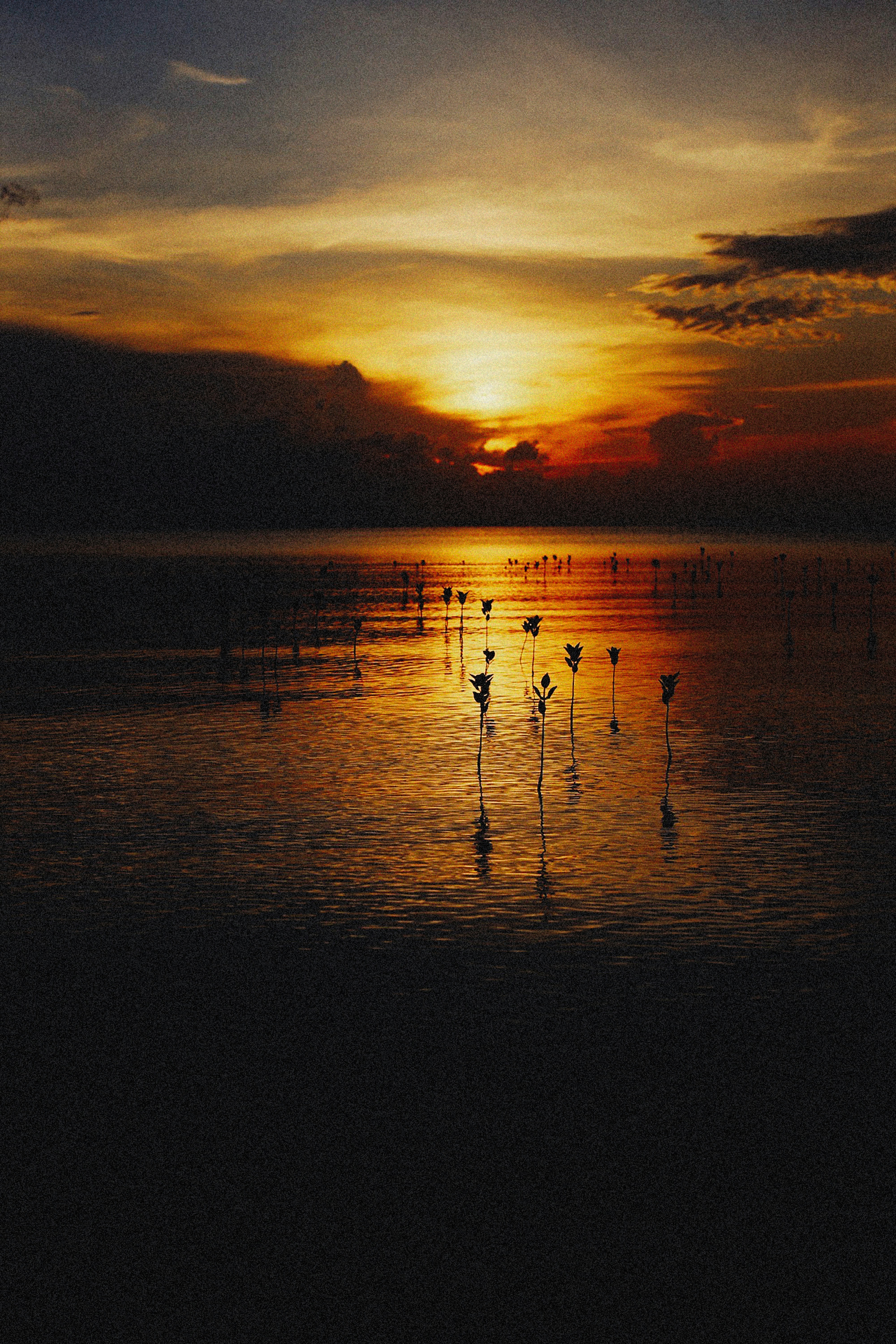 Photo by alexeydemidov