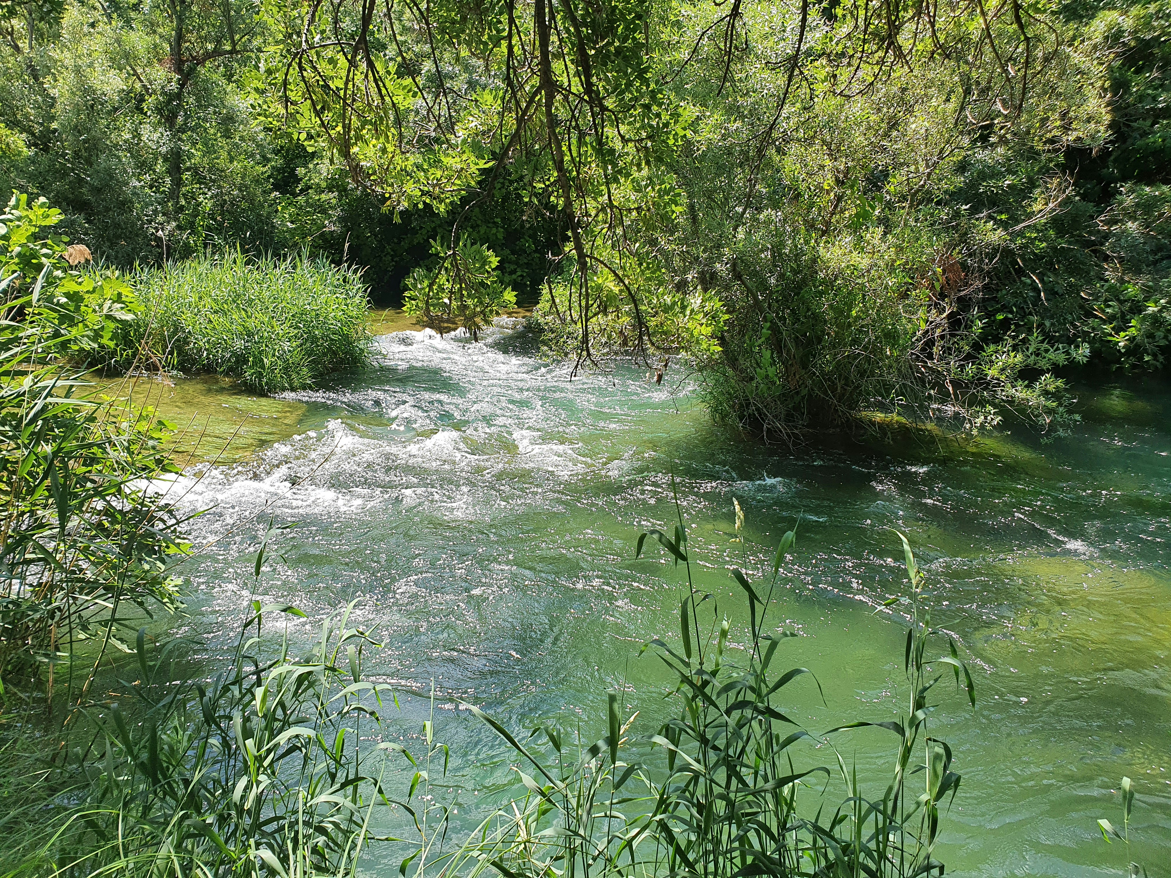 Photo by maximilian_swe