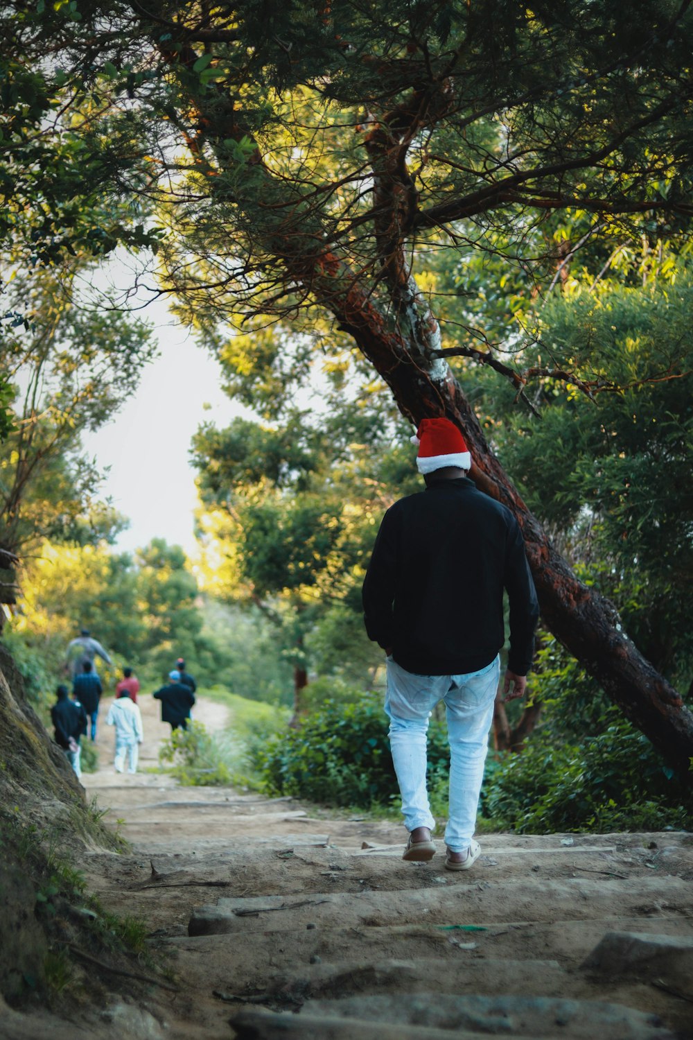 a man in a santa hat walking down a path