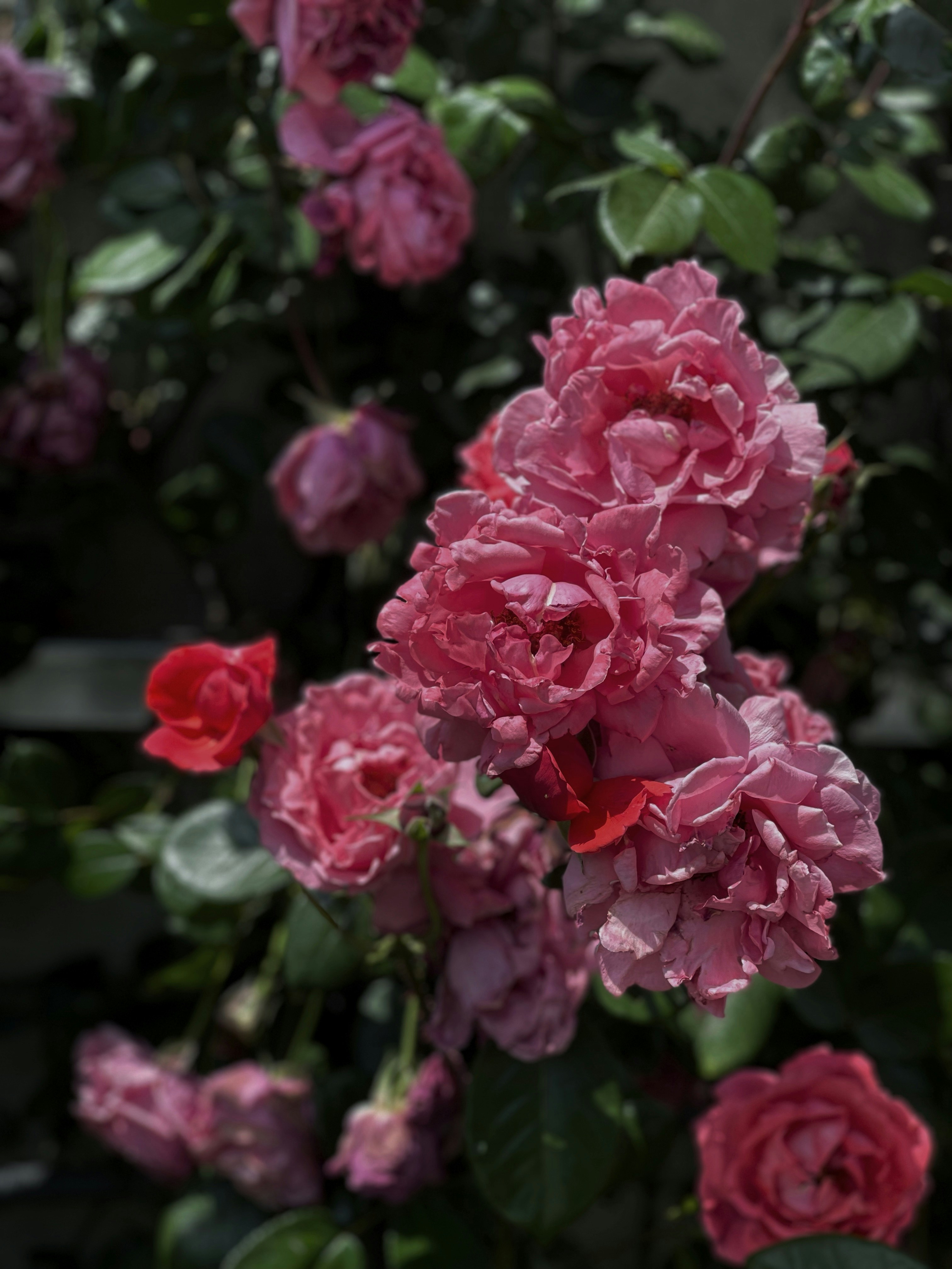 Photo by aidageraeva