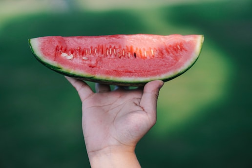 a person holding a piece of watermelon in their hand