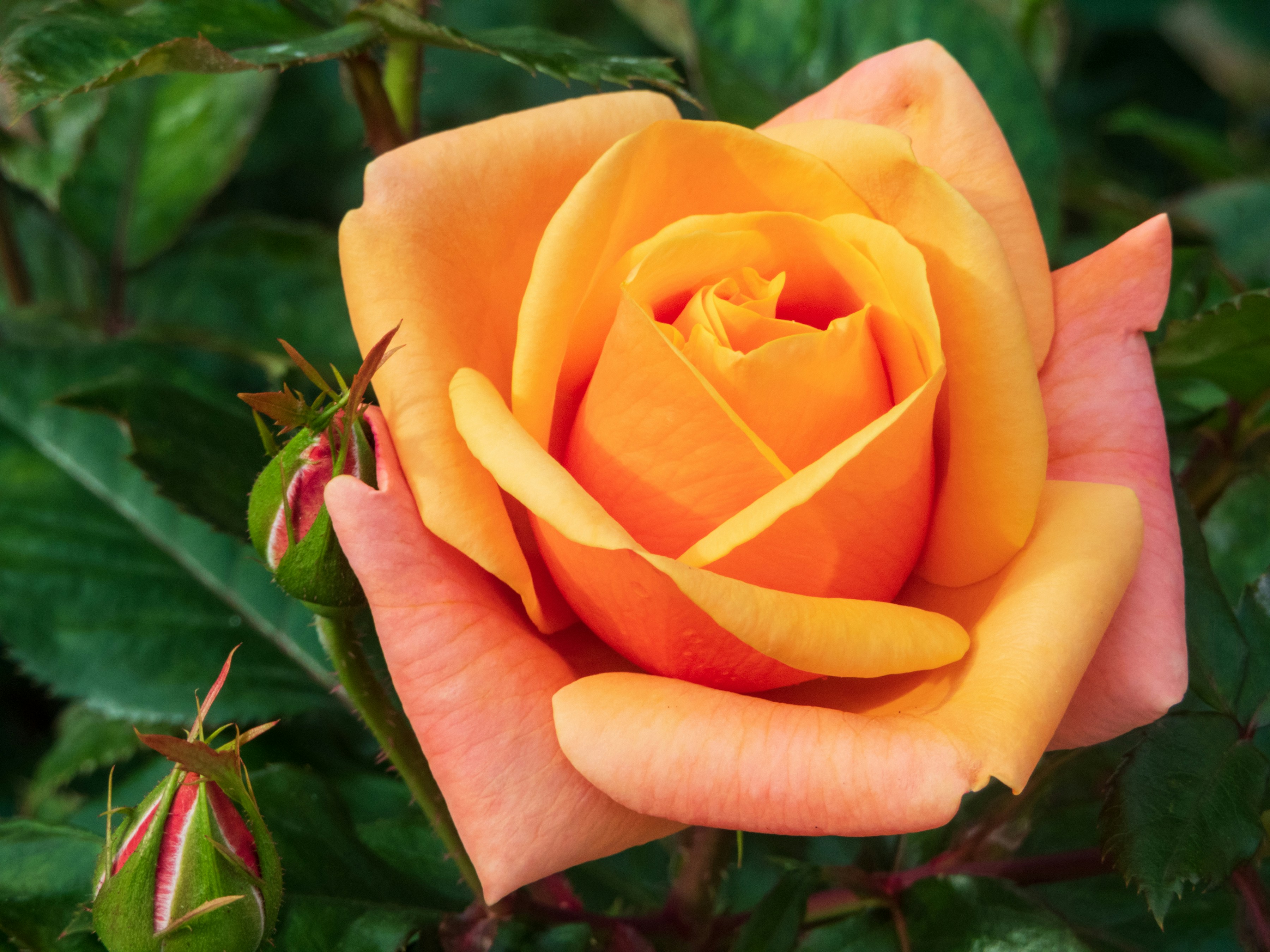 Photo by heppoko_yama