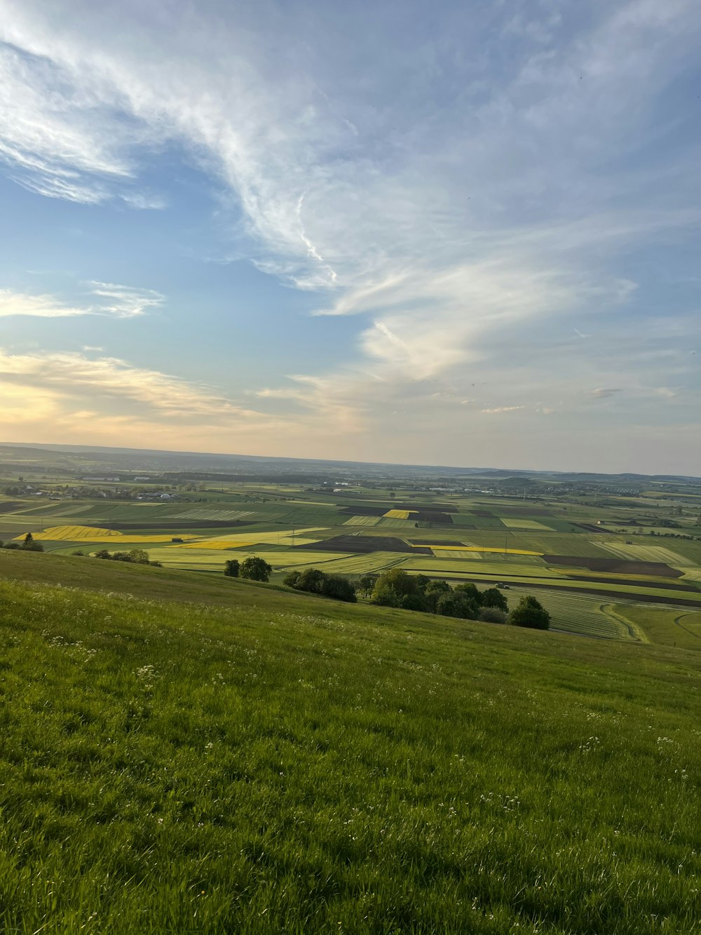 a green field with a blue sky in the background