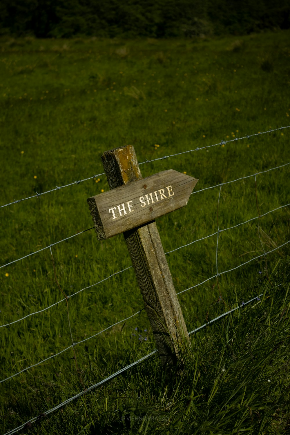 a wooden sign sitting on top of a lush green field