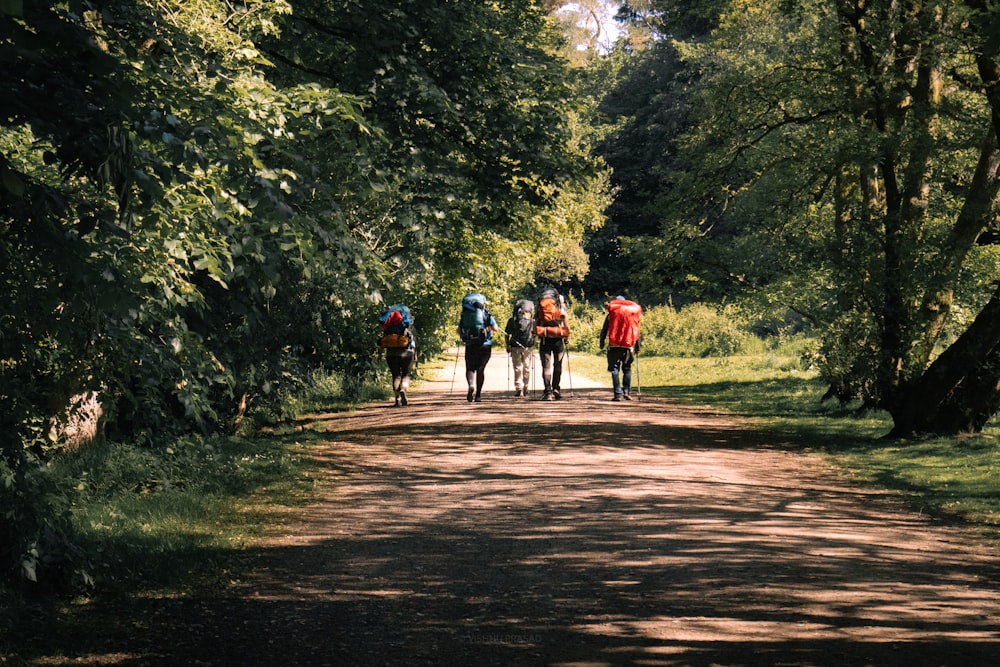 Un grupo de personas caminando por un camino de tierra