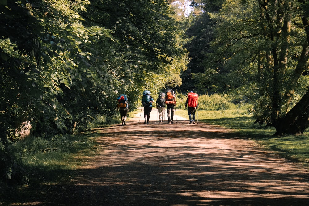 Un gruppo di persone che camminano lungo una strada sterrata