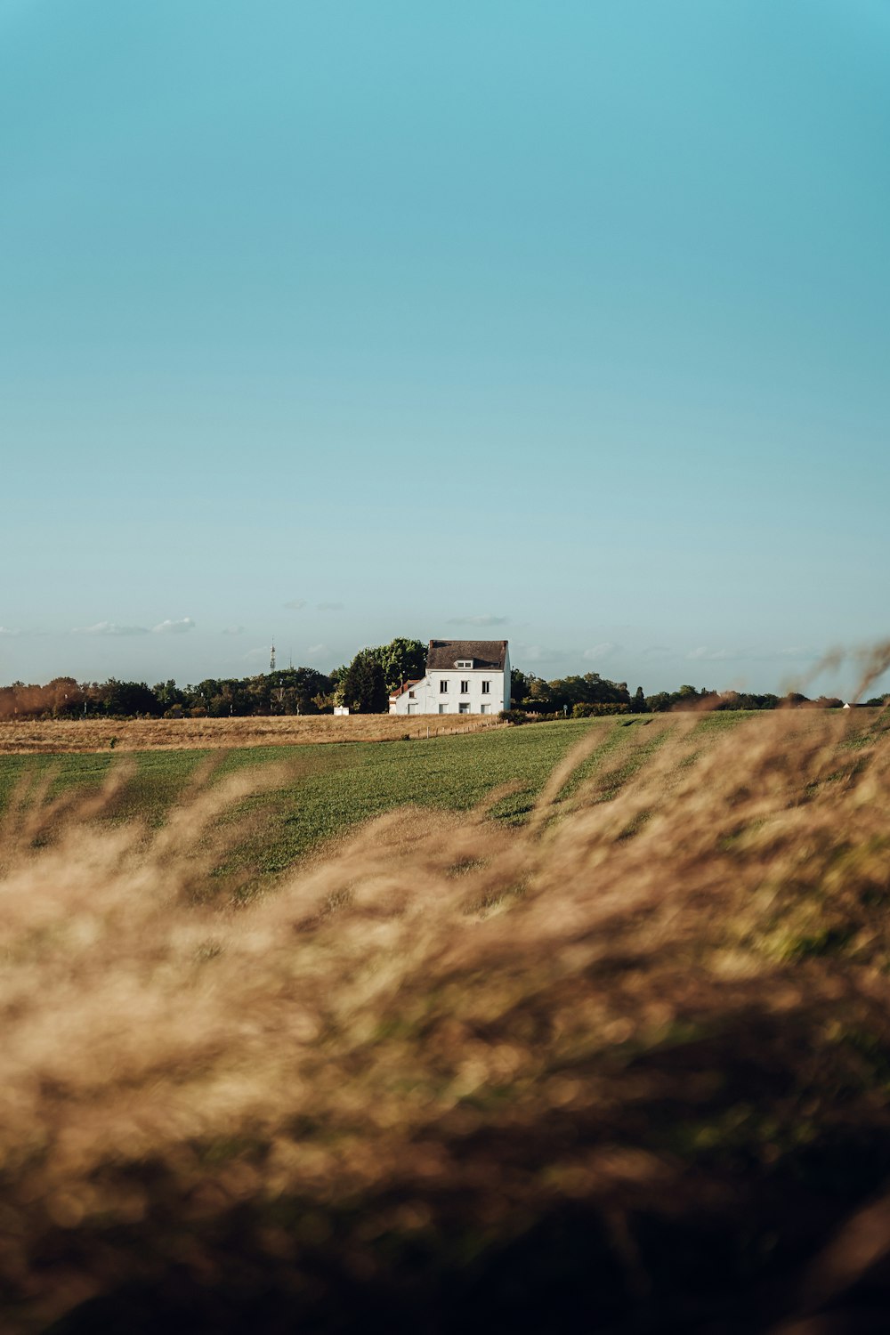 Una casa en medio de un campo