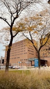 A large brick building with multiple windows stands behind tall trees with sparse branches, likely in the autumn season. The building features a prominent sign indicating 'Karmanos Cancer Institute' and there are parking and emergency signs visible near the entrance.
