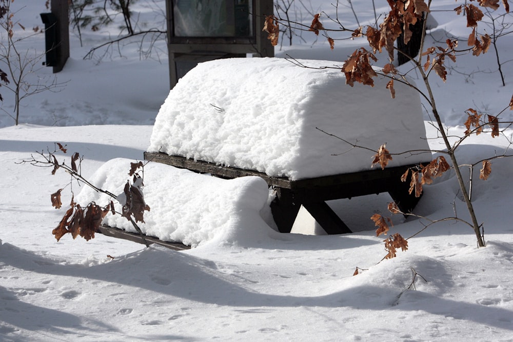 a bench covered in snow next to a tree