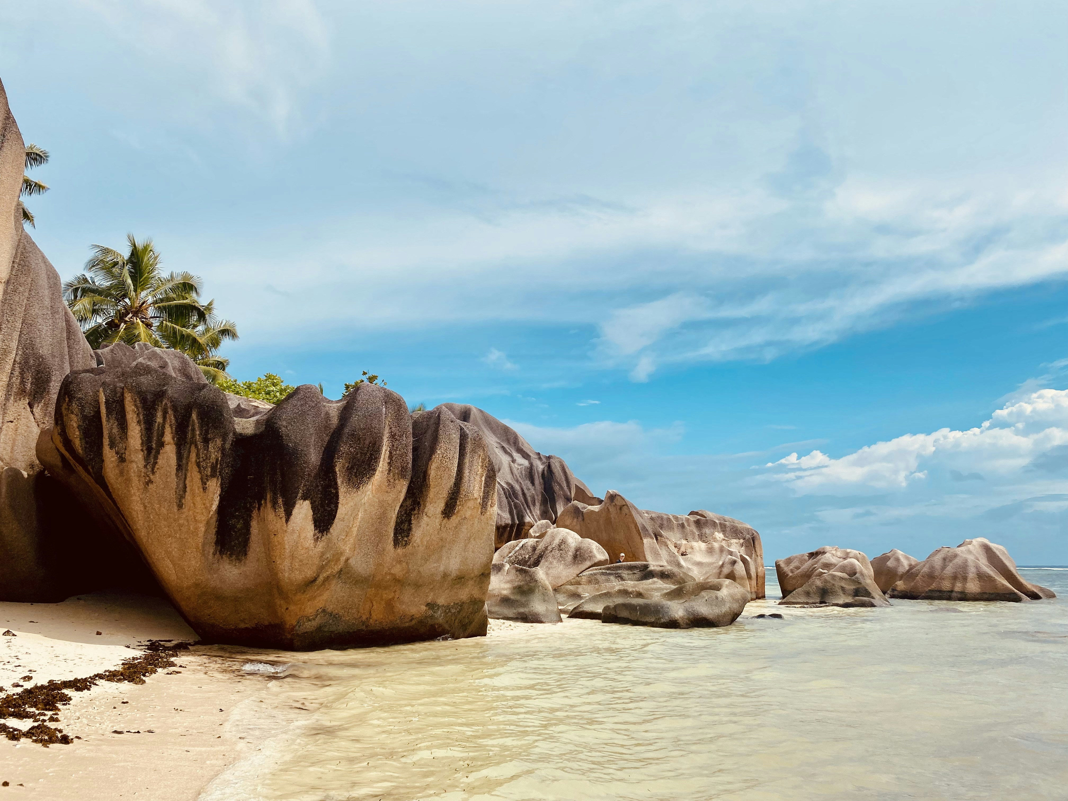 Photo by coconutello