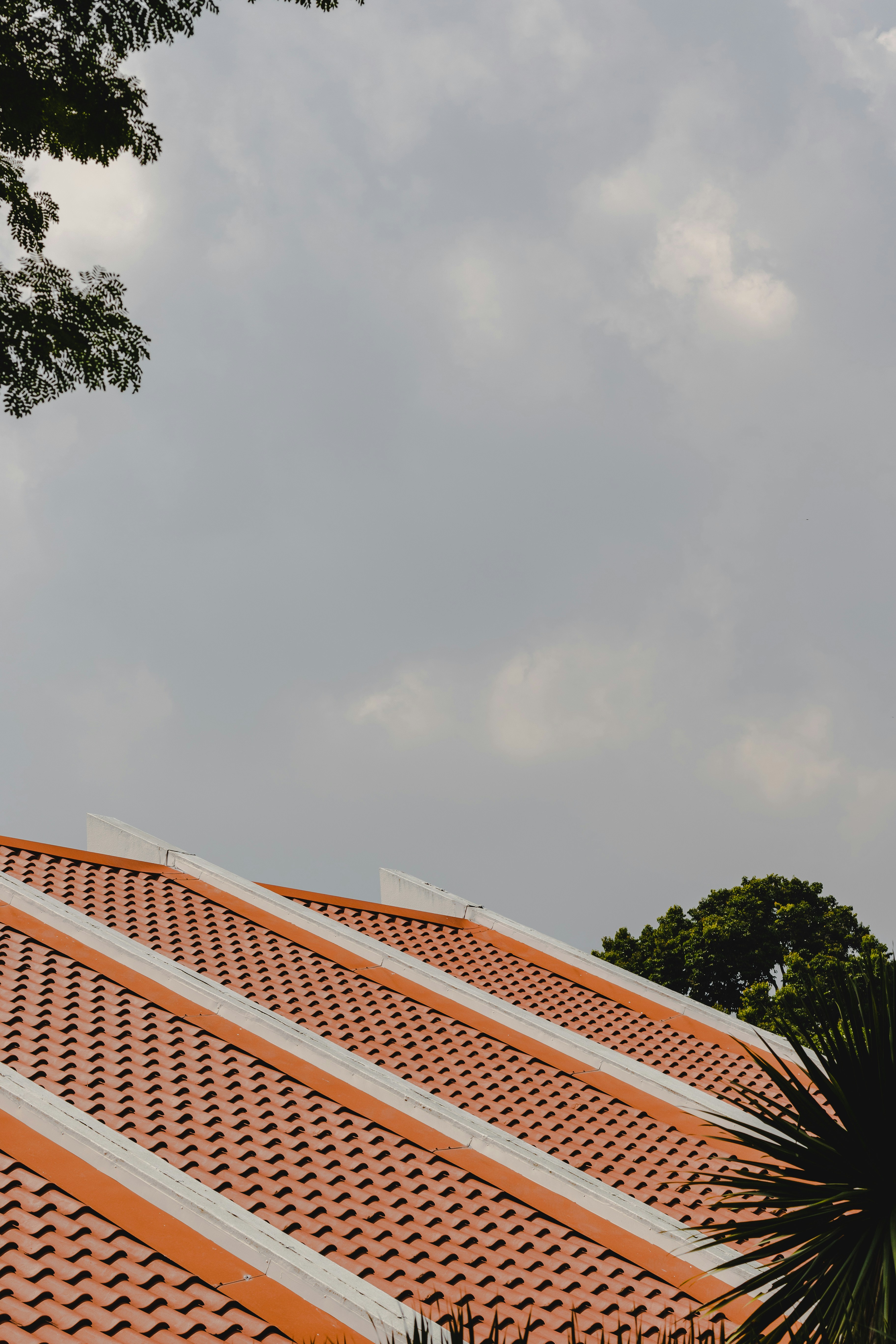the roof of a building with a tree in front of it