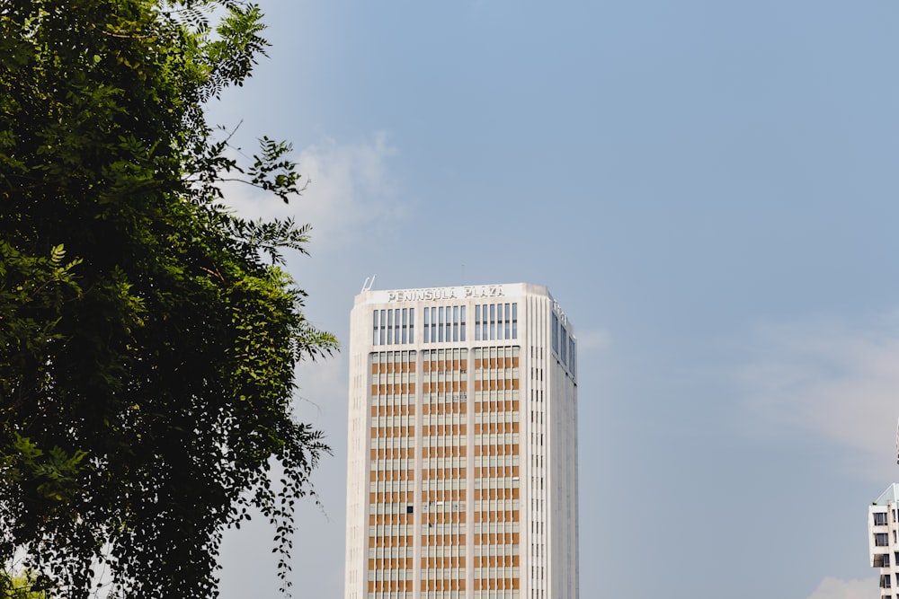 a tall white building sitting next to a tree
