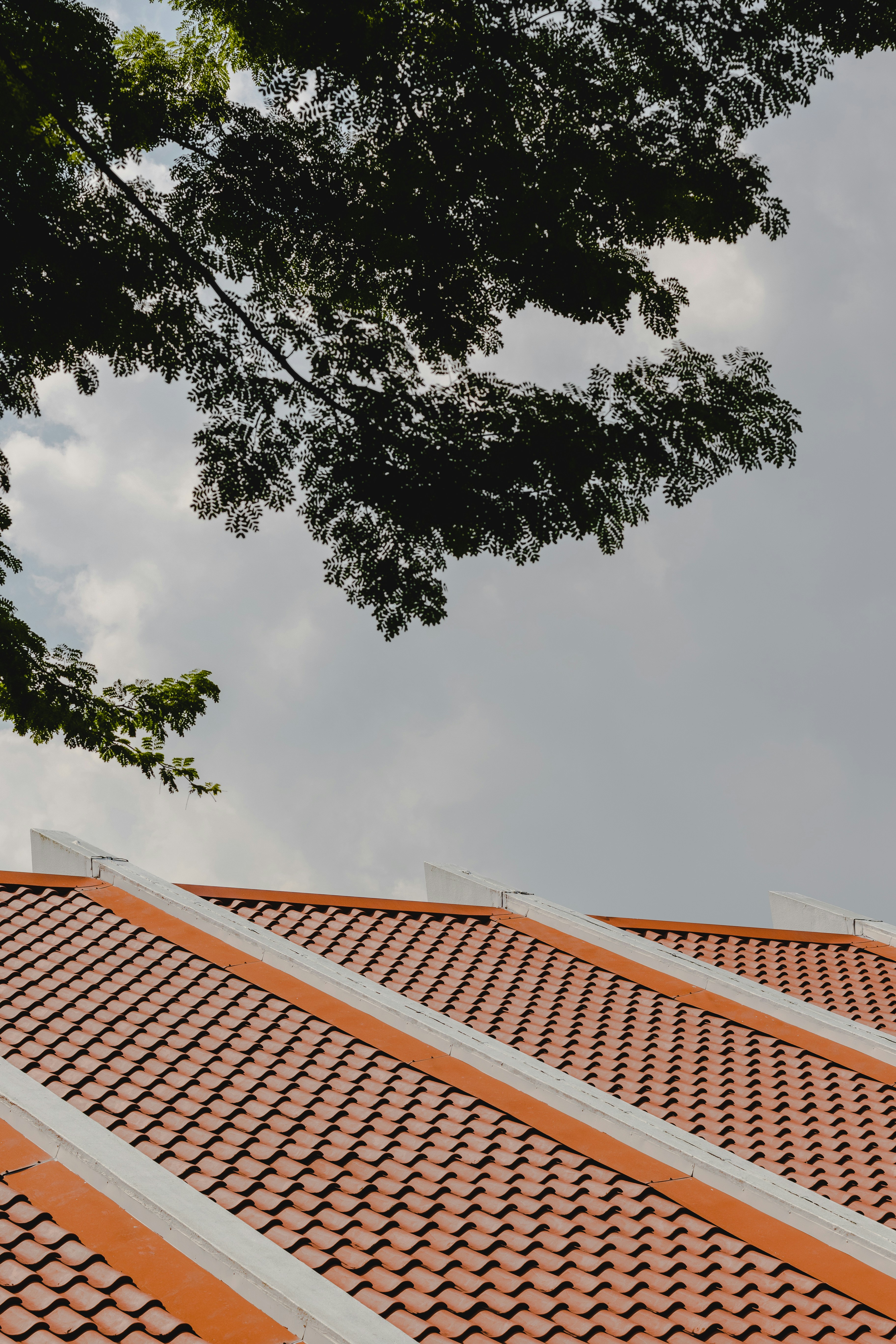 a red tiled roof with a tree in the background