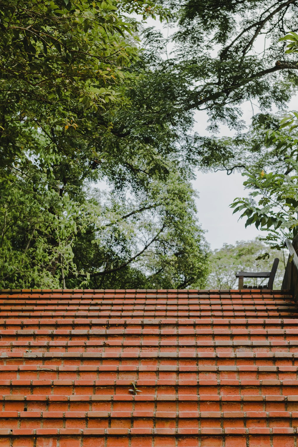 a red tiled roof with trees in the background