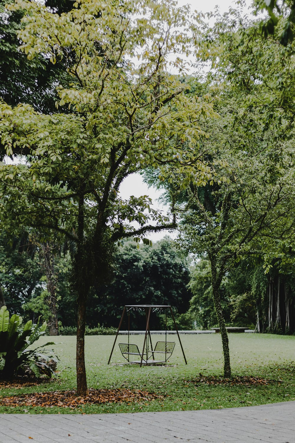 a park with a swing set and trees