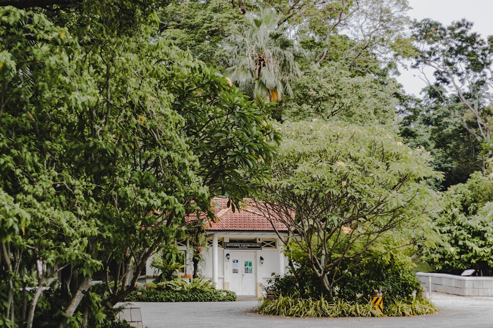 a white house surrounded by trees and bushes