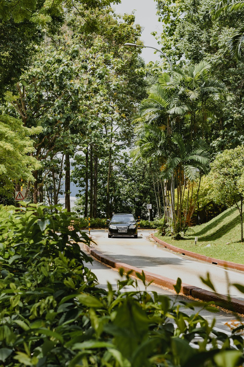 a car driving down a road surrounded by trees