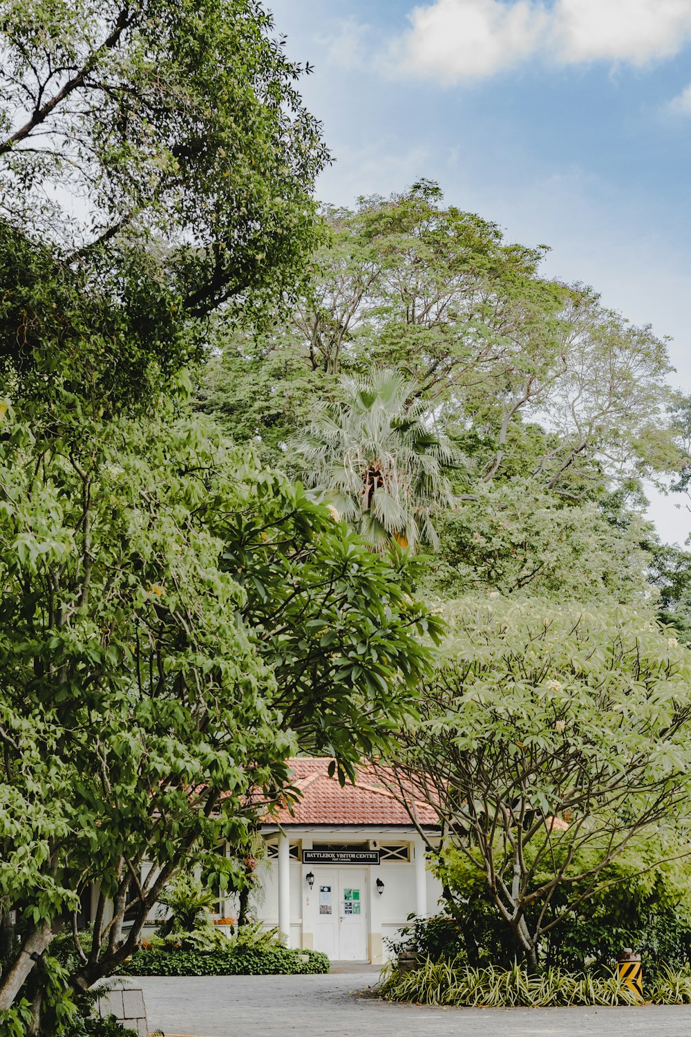 a white building surrounded by trees and bushes