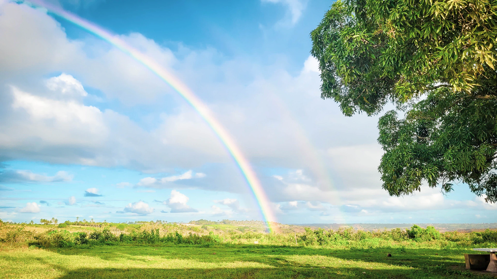 a rainbow in the sky over a lush green field