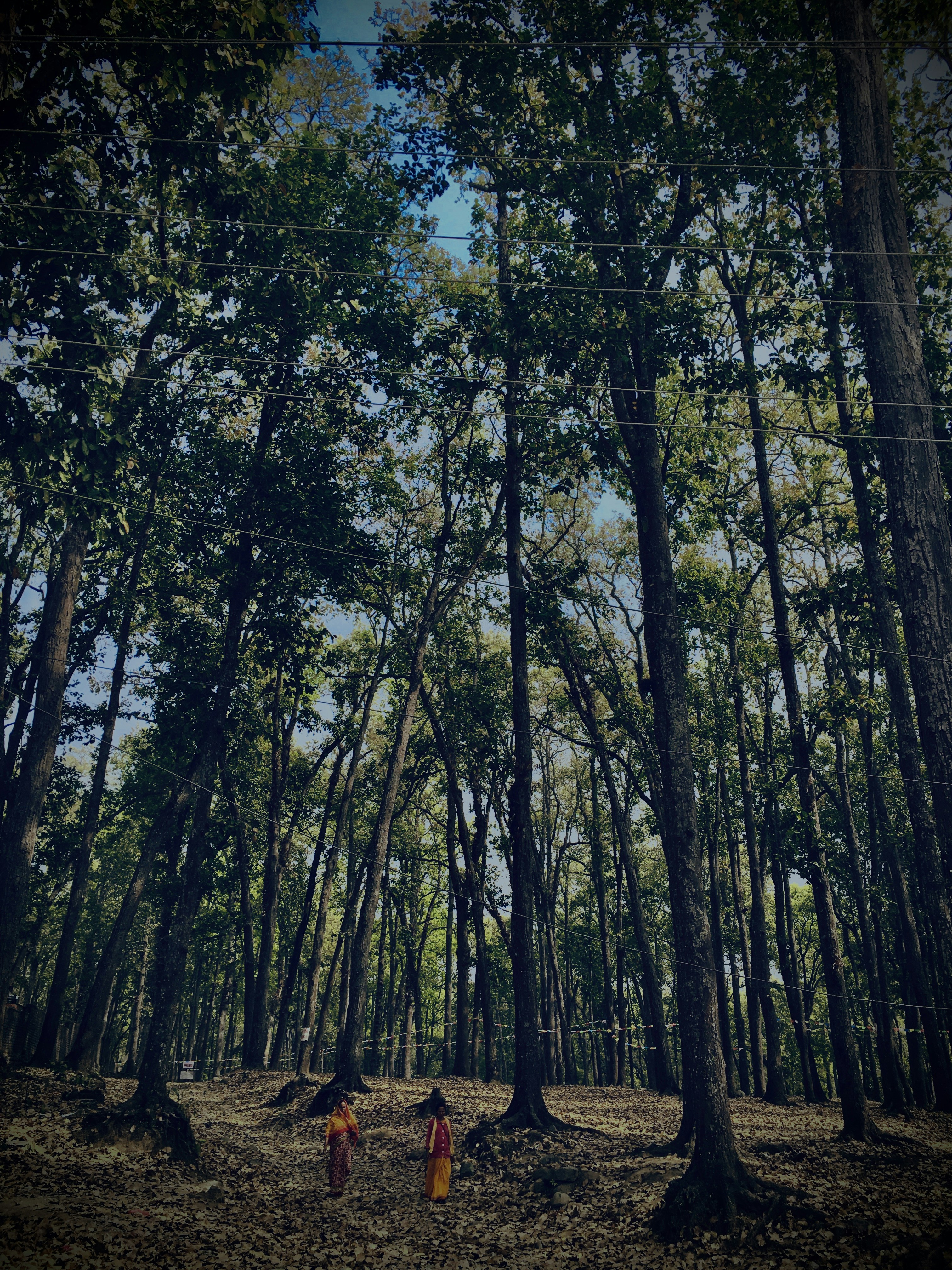 Photo by preetytamang_7