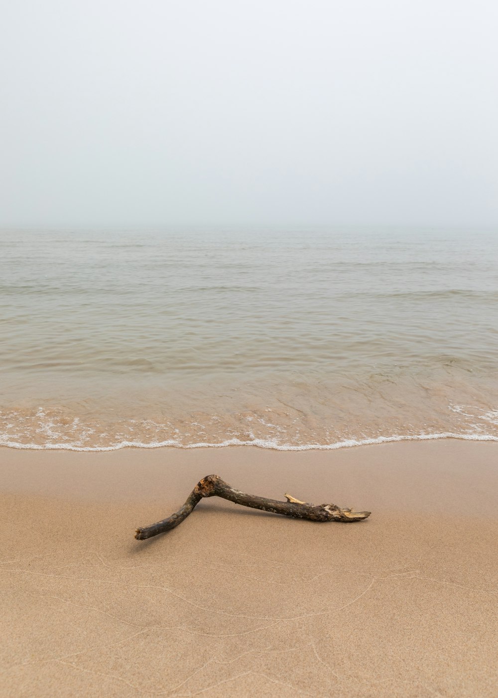 Un trozo de madera flotante tendido en la arena de una playa