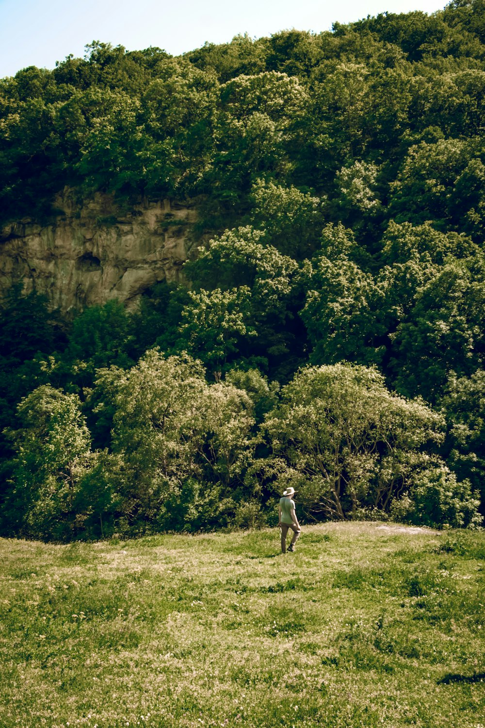 a person standing in a field with trees in the background