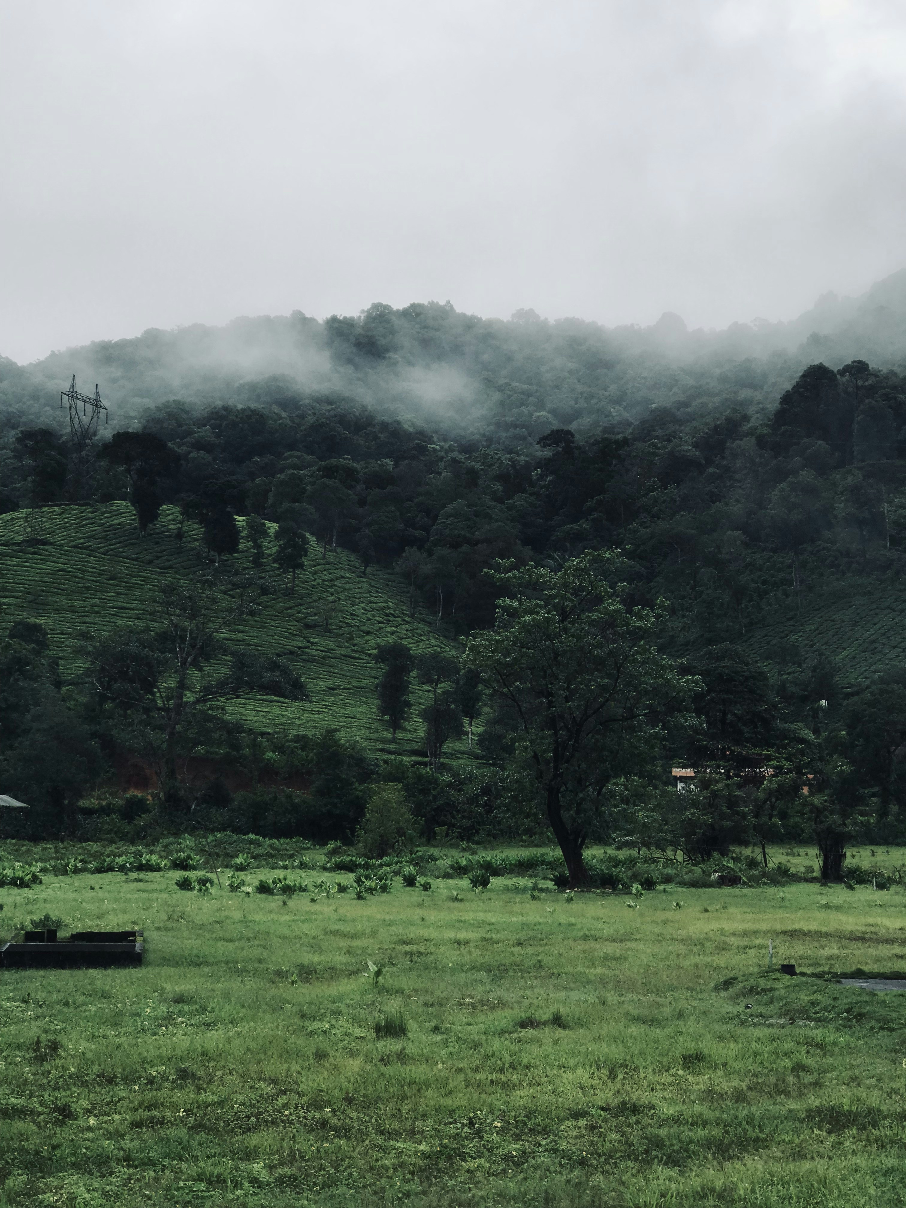 Photo by far___han___