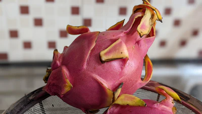 Dragon Fruit Farming India High Value Crop
