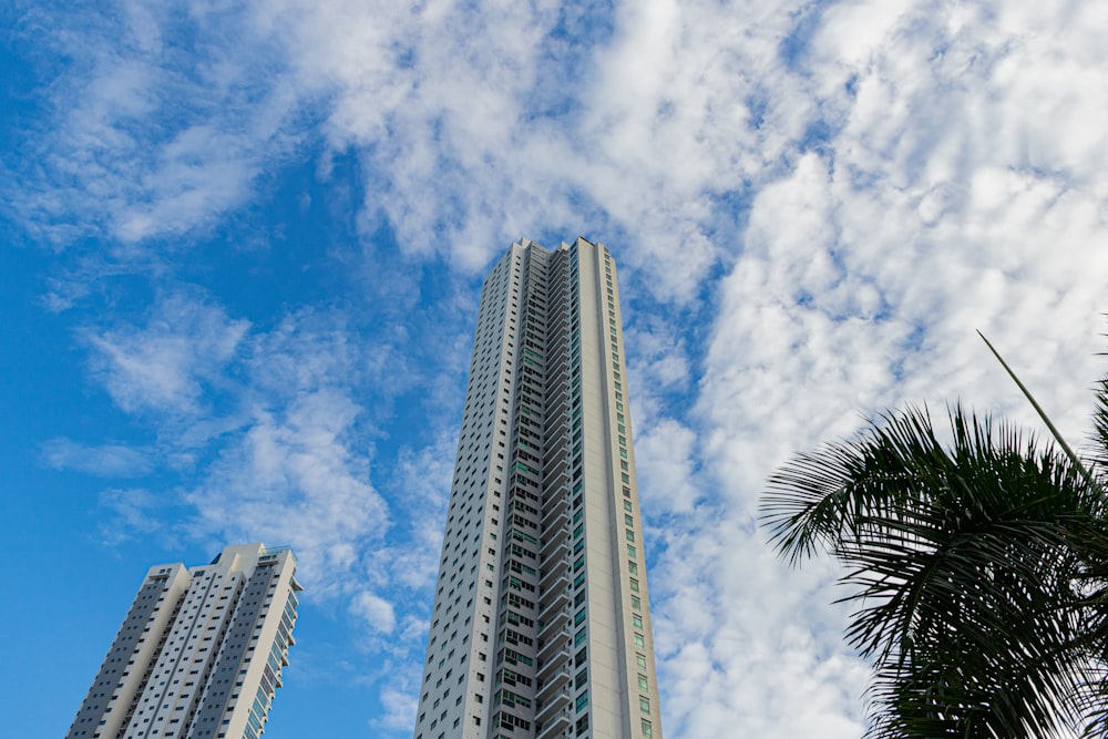 a very tall building sitting next to a palm tree