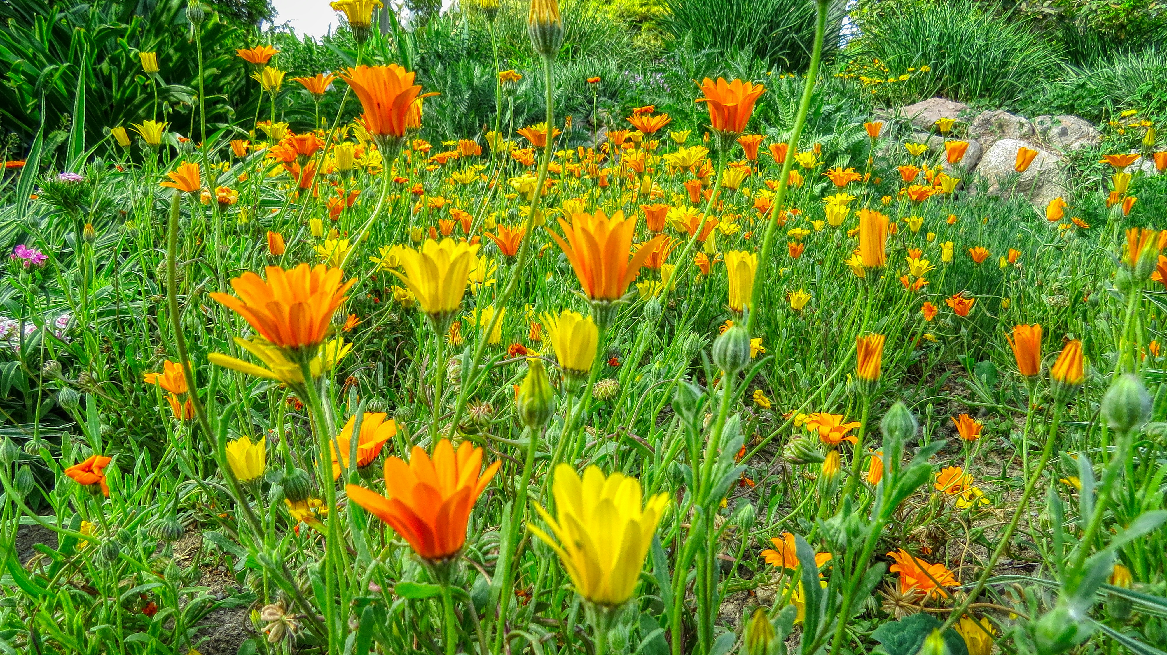 Photo by aliarjmandi