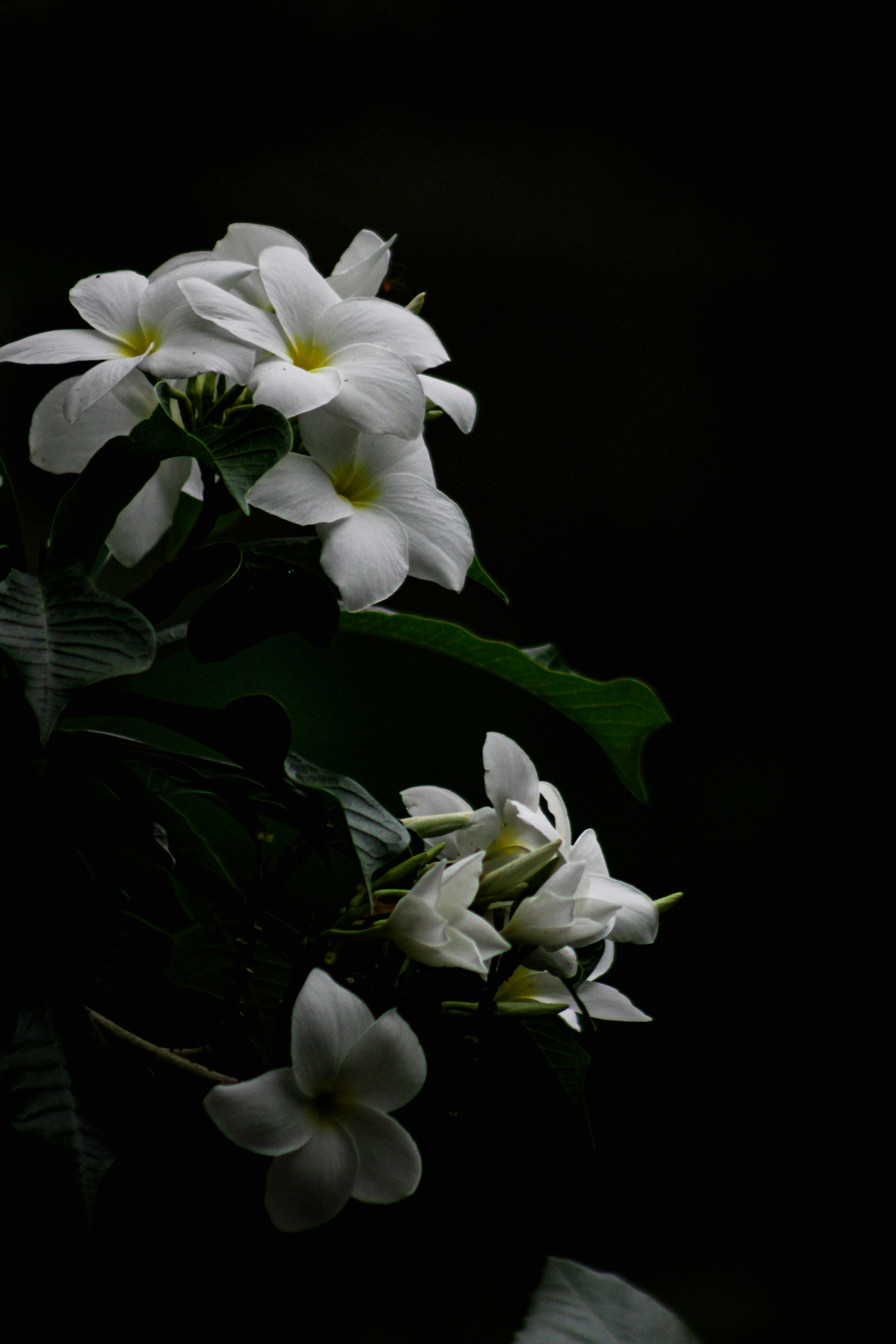 Photo by suleiman_46