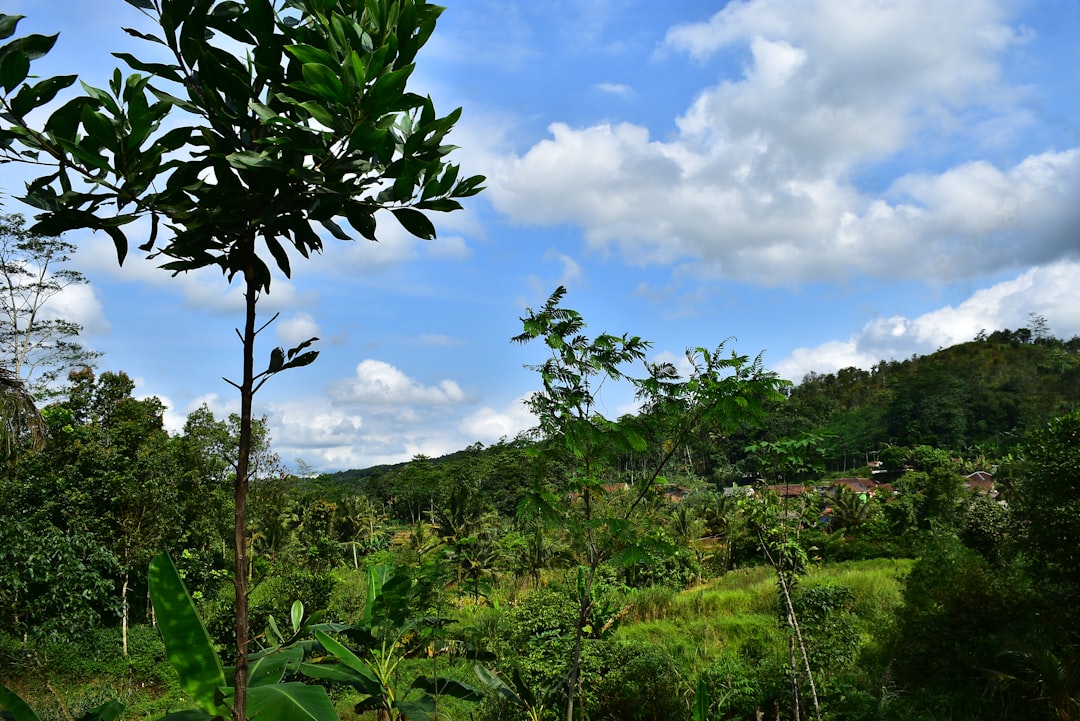 Natural landscape photo spot Jampang Tengah Bogor