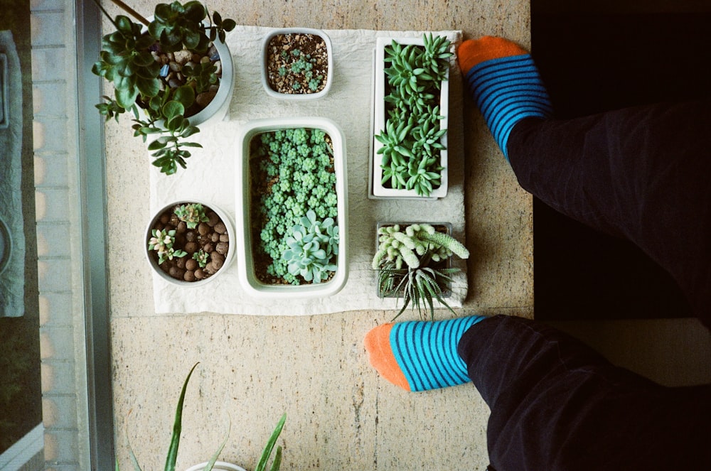 a person standing next to a table filled with plants