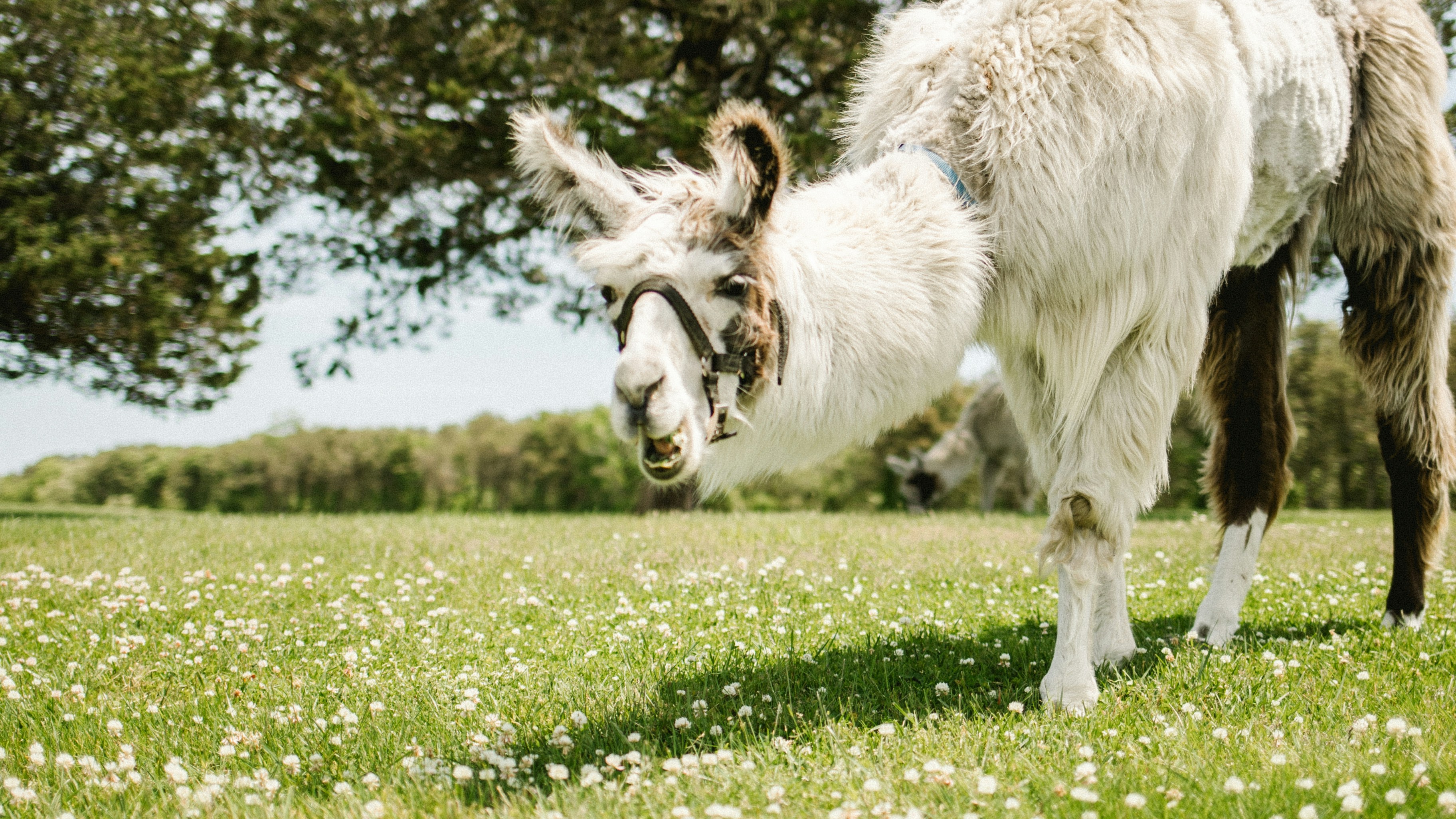 Photo by jackdelulio